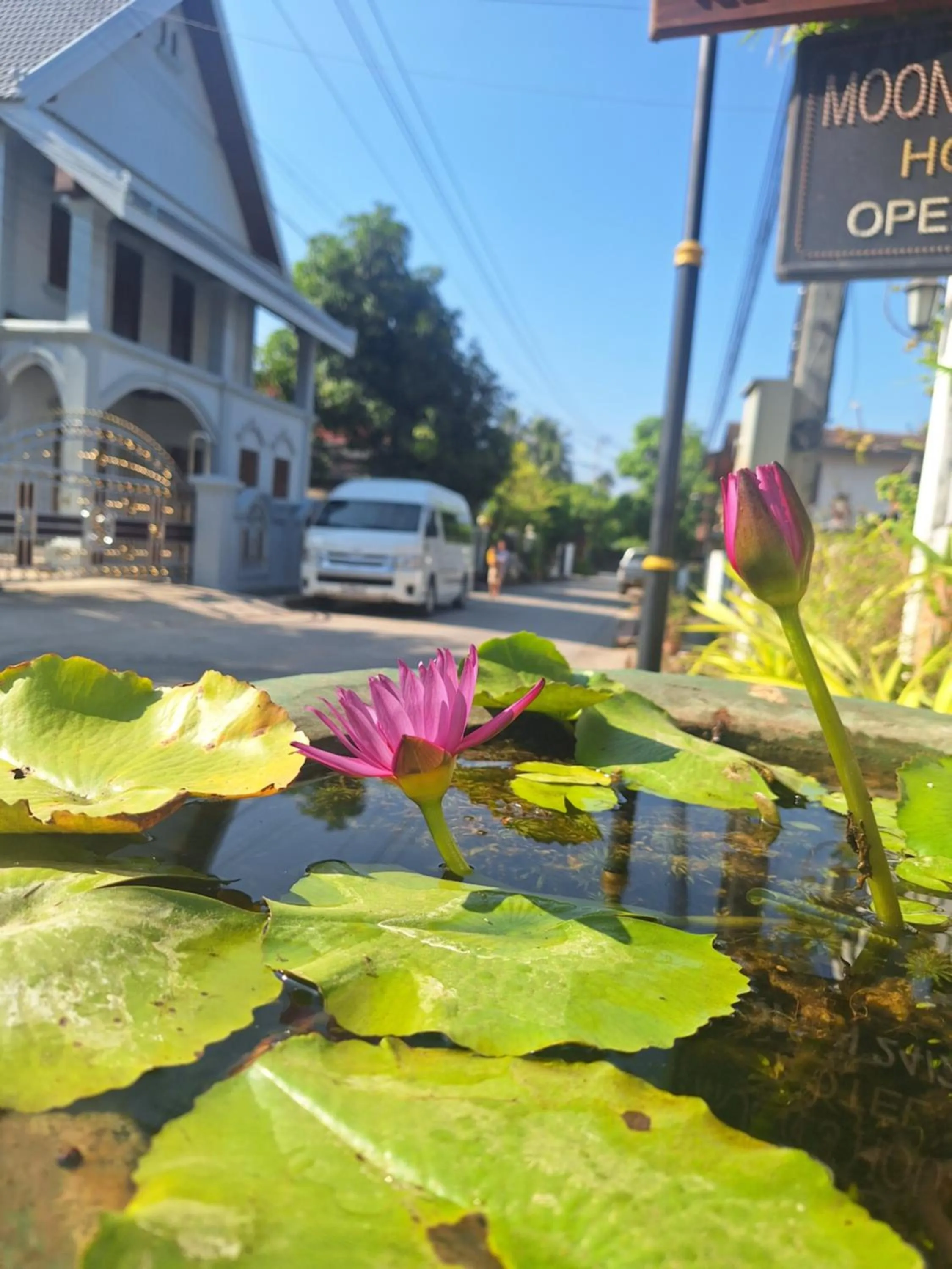 Natural landscape in Le KhounSok Boutique Hotel