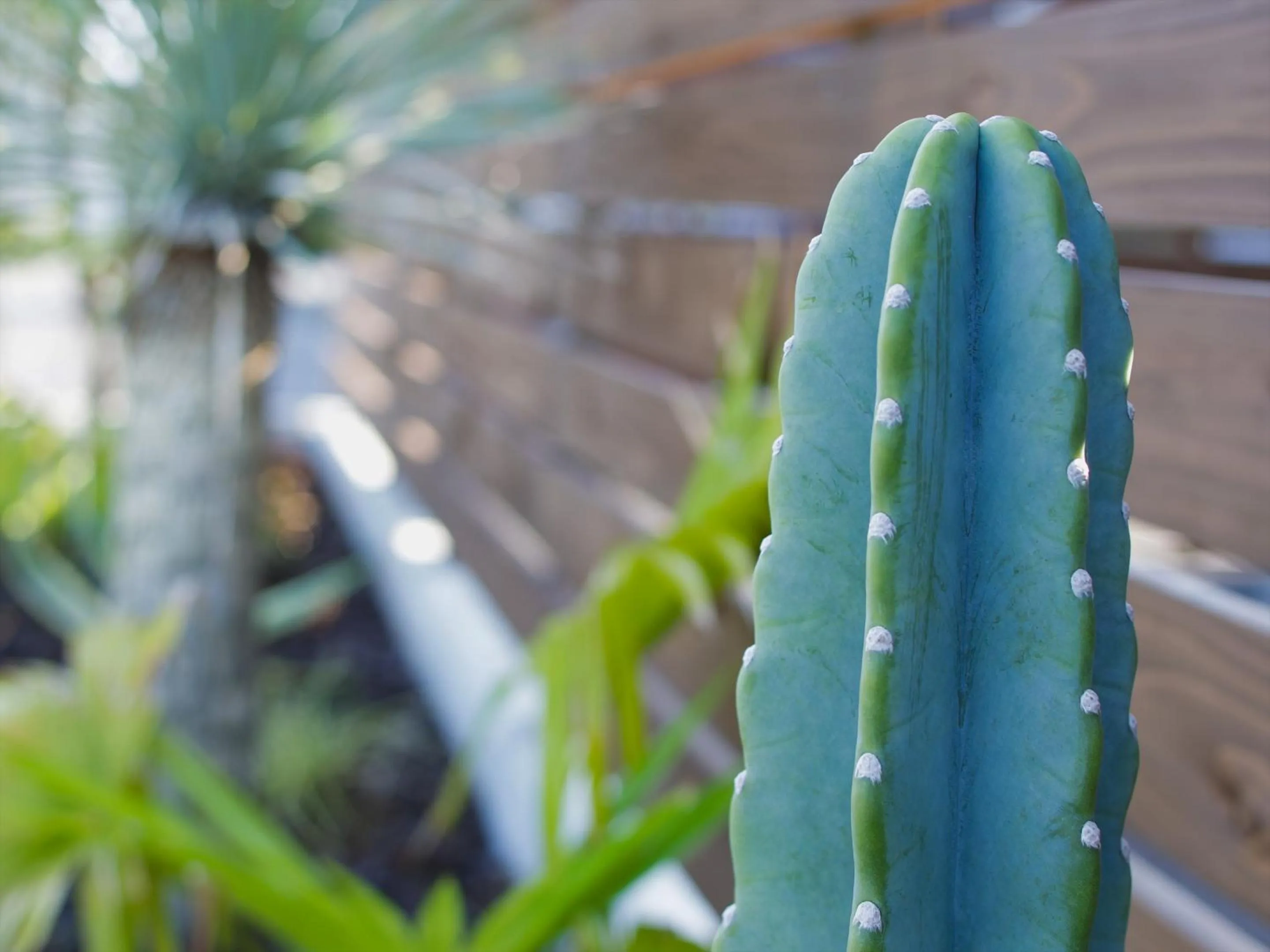 Property building in Seage Torami Coastside