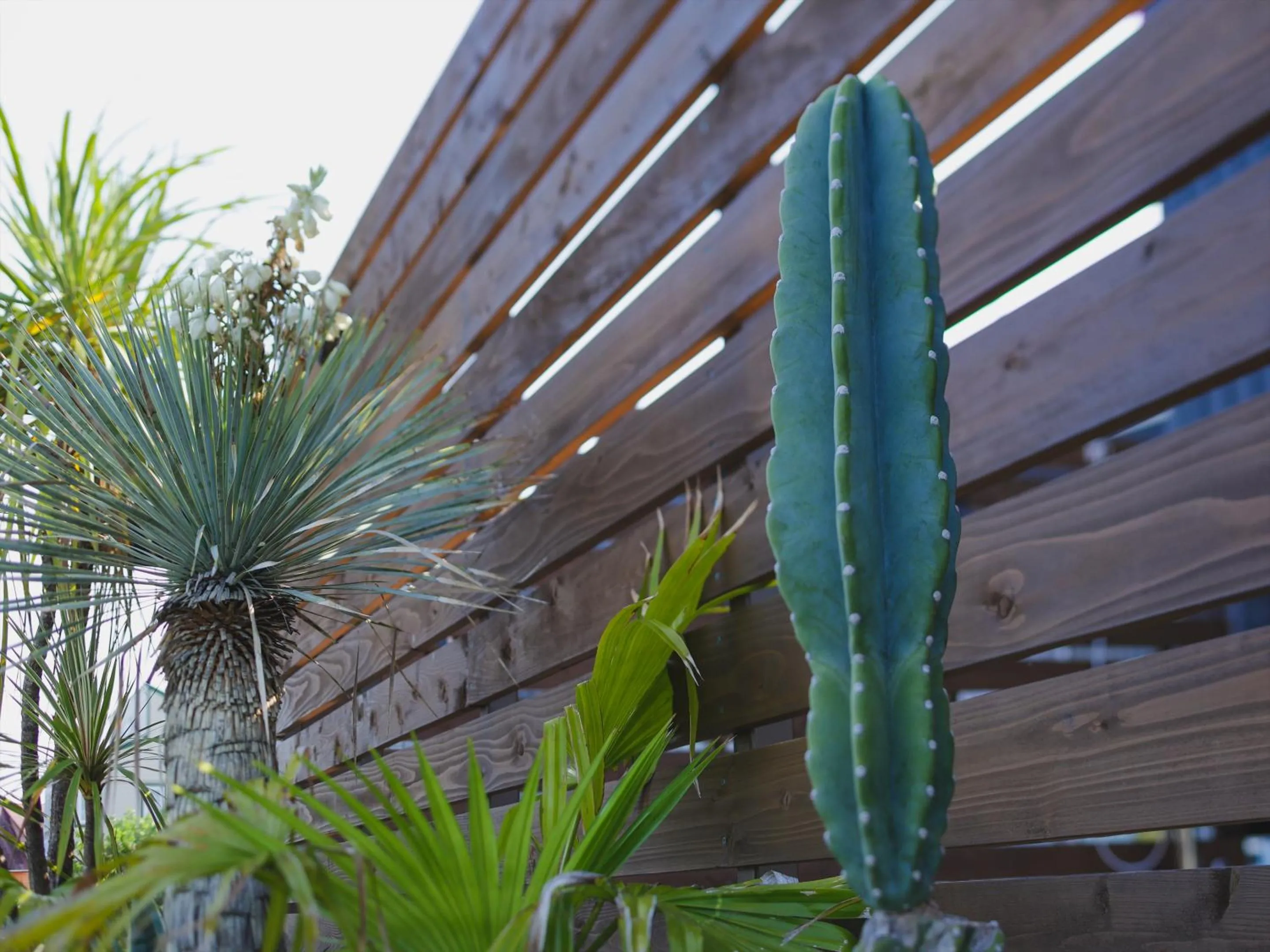 Property building in Seage Torami Coastside