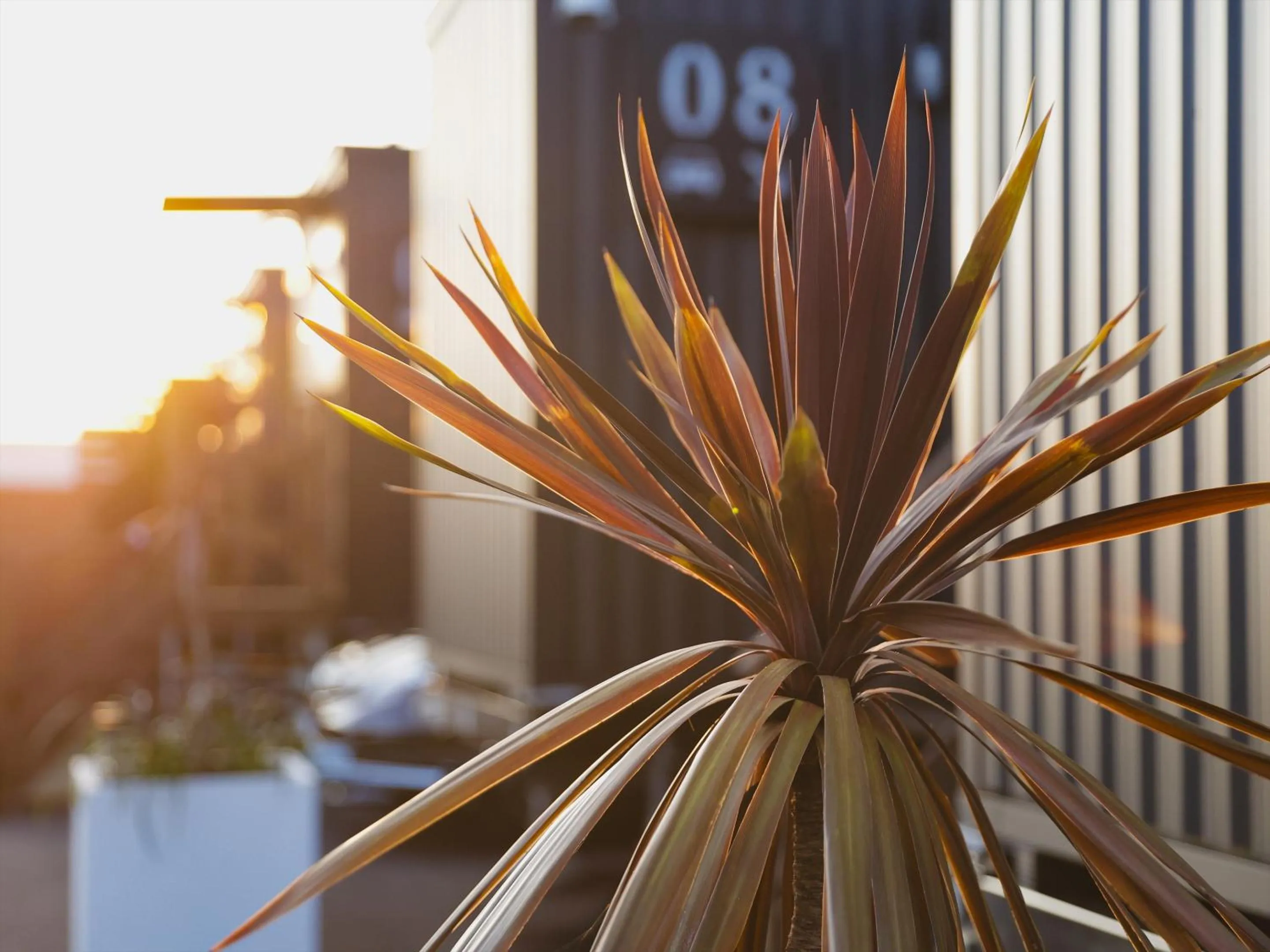 Property building in Seage Torami Coastside