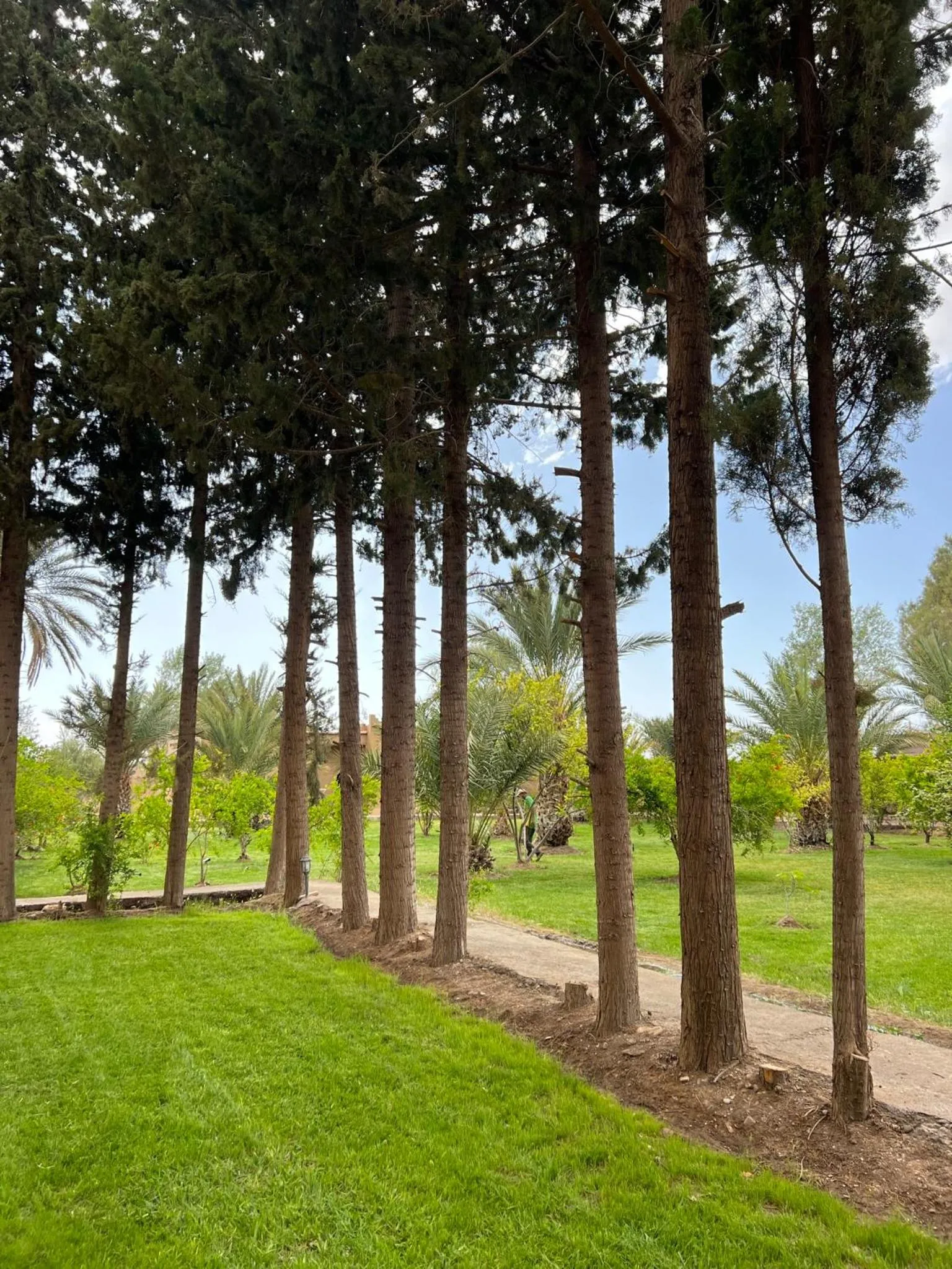 Natural landscape in Kasbah des cyprès