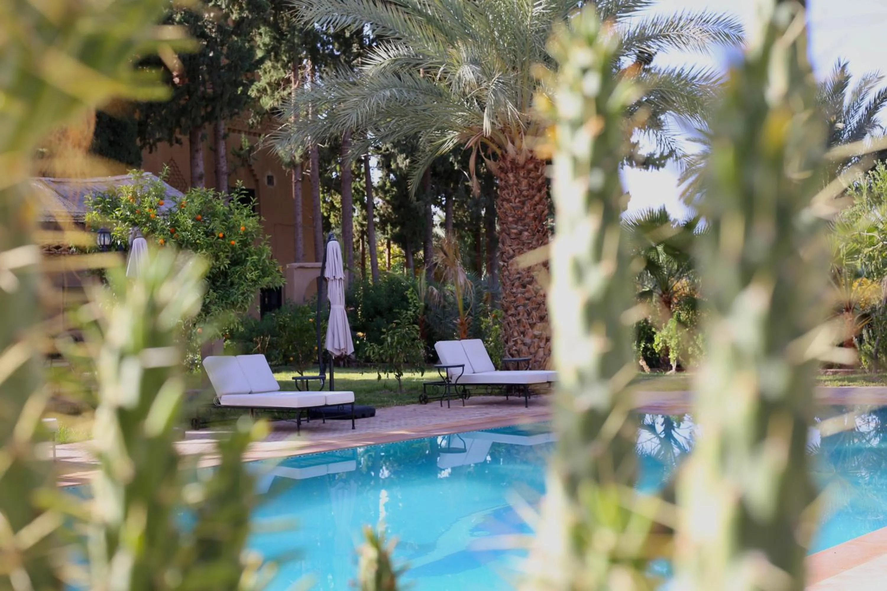 Garden in Kasbah des cyprès