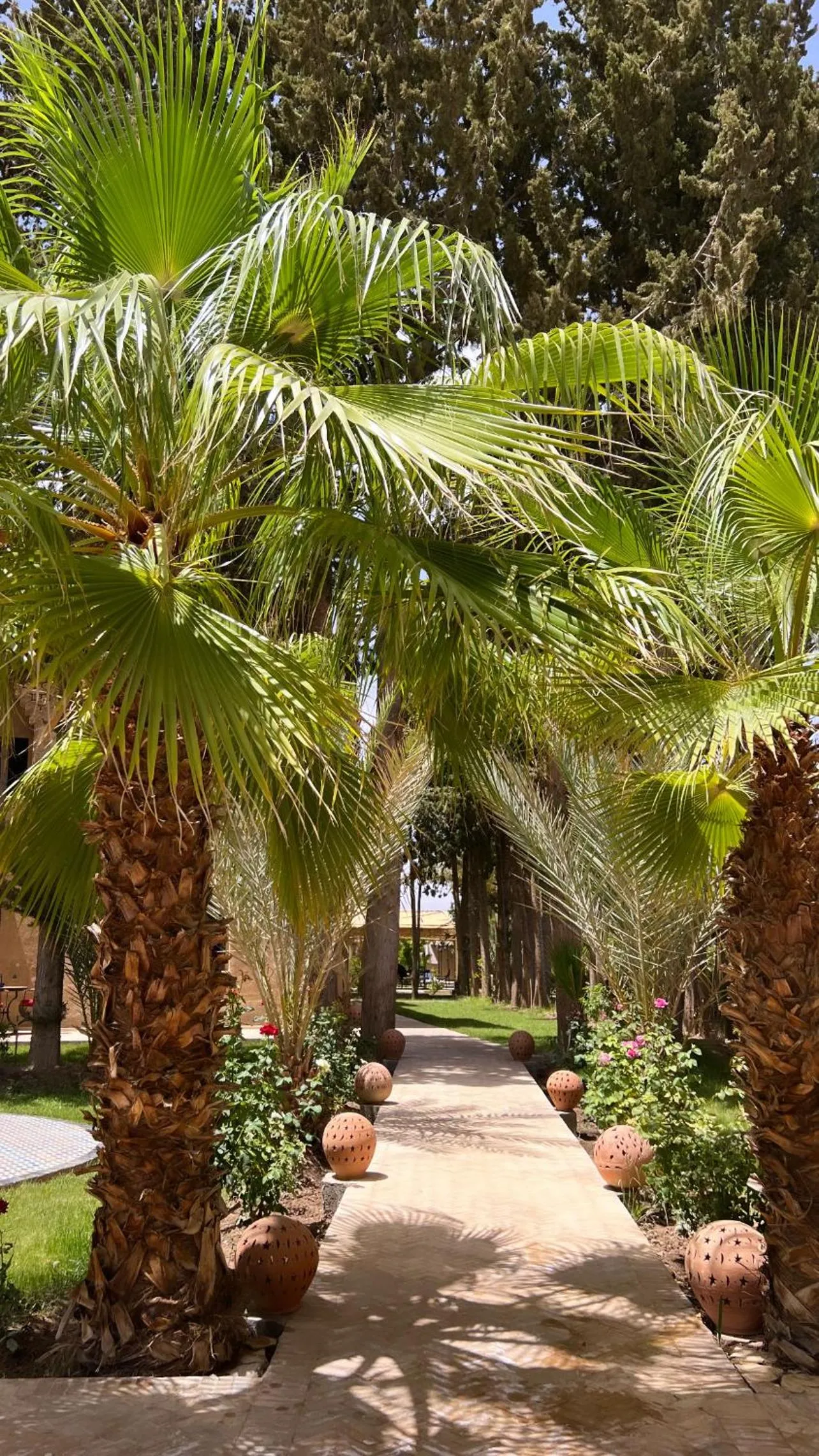 Garden in Kasbah des cyprès