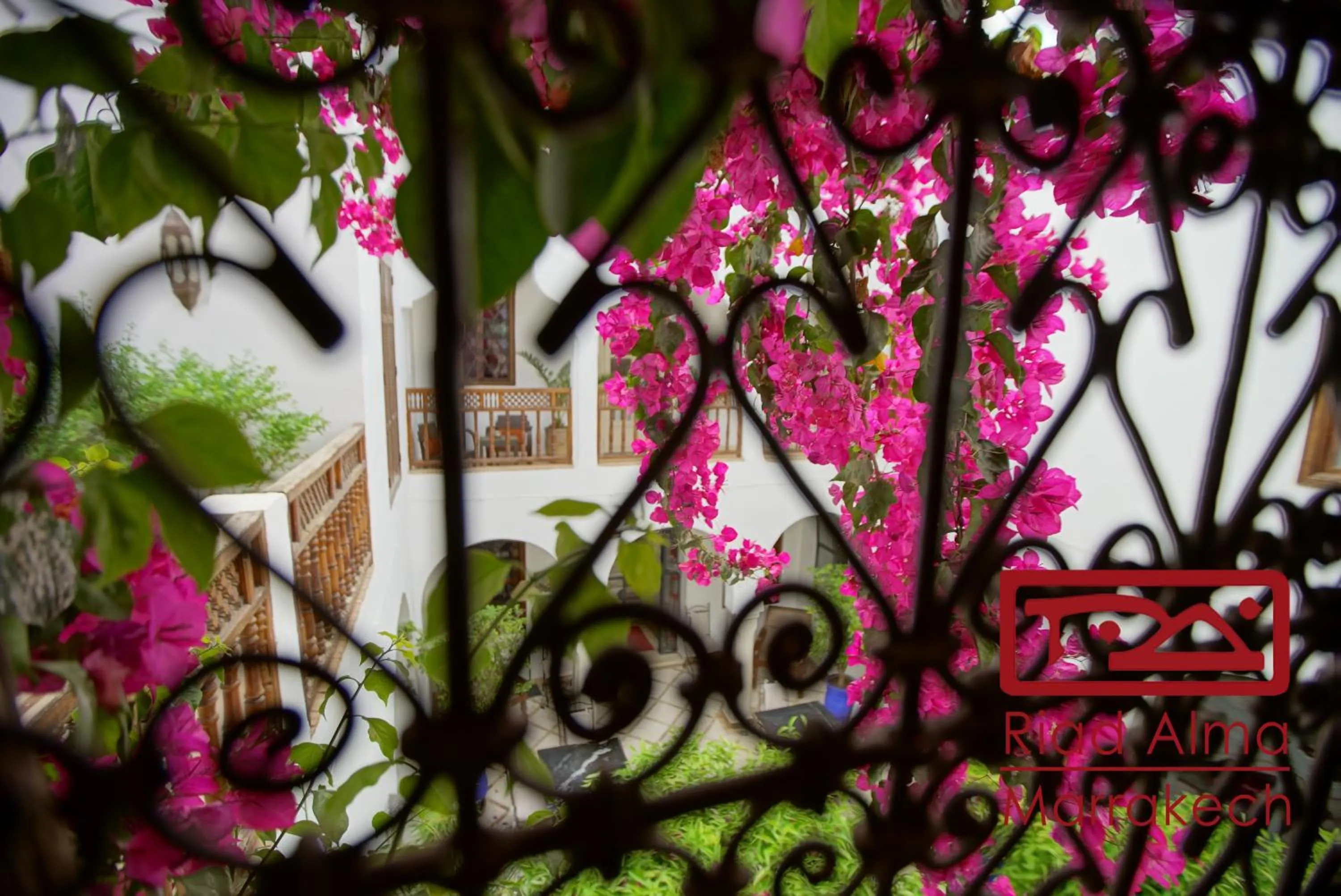 View (from property/room) in Riad Alma