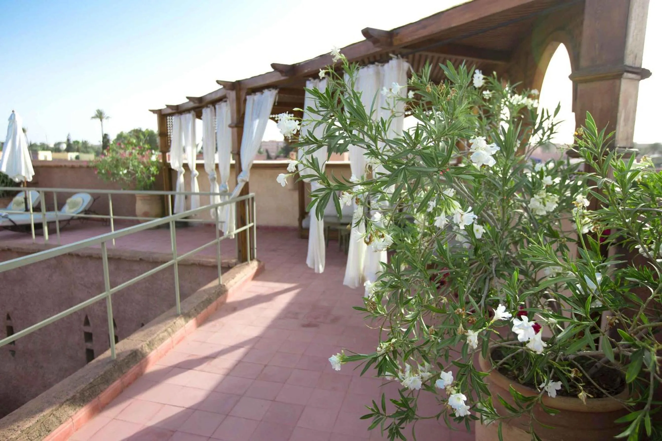 Balcony/Terrace in Riad Altair