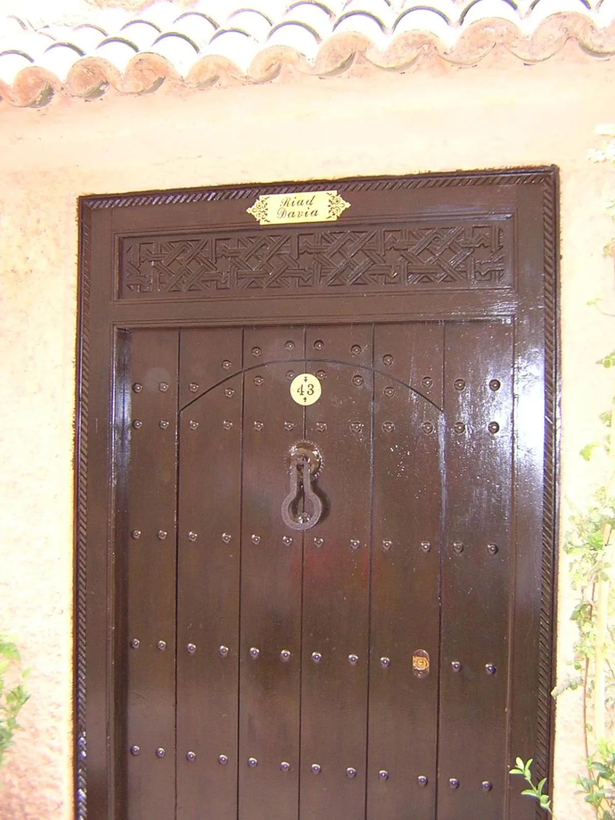 Facade/entrance in Riad Davia