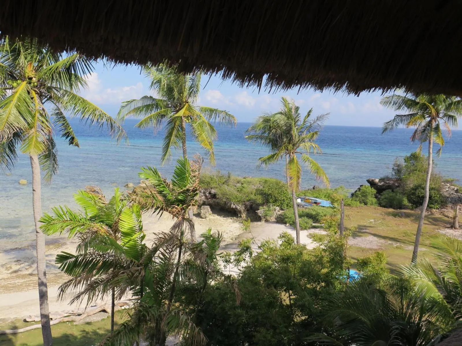 Beach in The Wild Orchid Resort - Moalboal