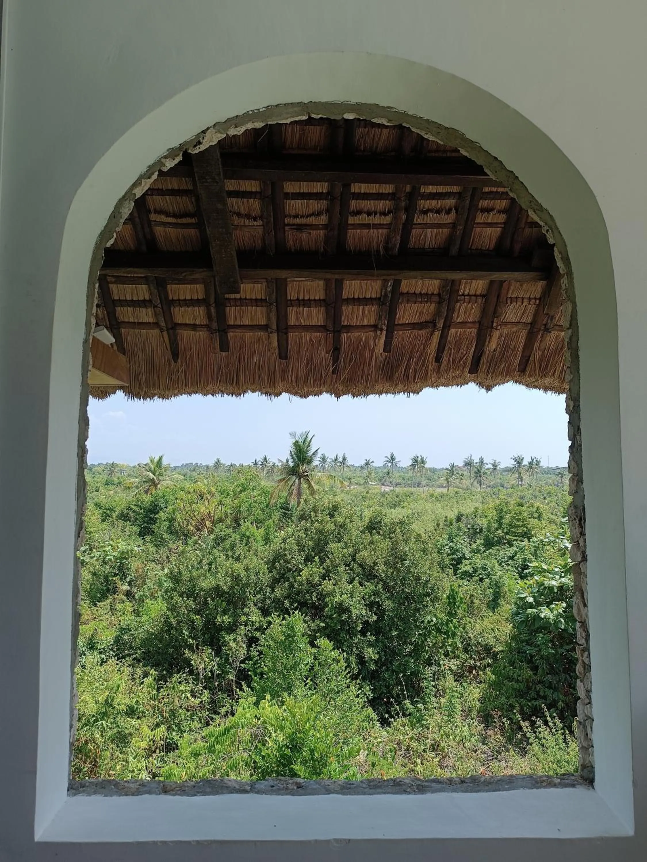 Natural landscape in The Wild Orchid Resort - Moalboal