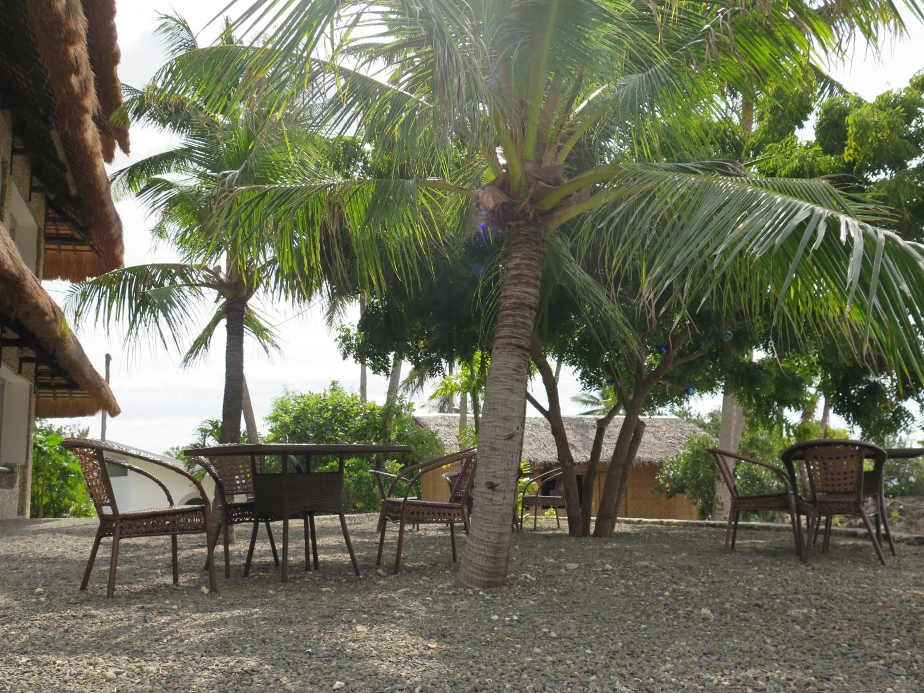 Restaurant/places to eat in The Wild Orchid Resort - Moalboal