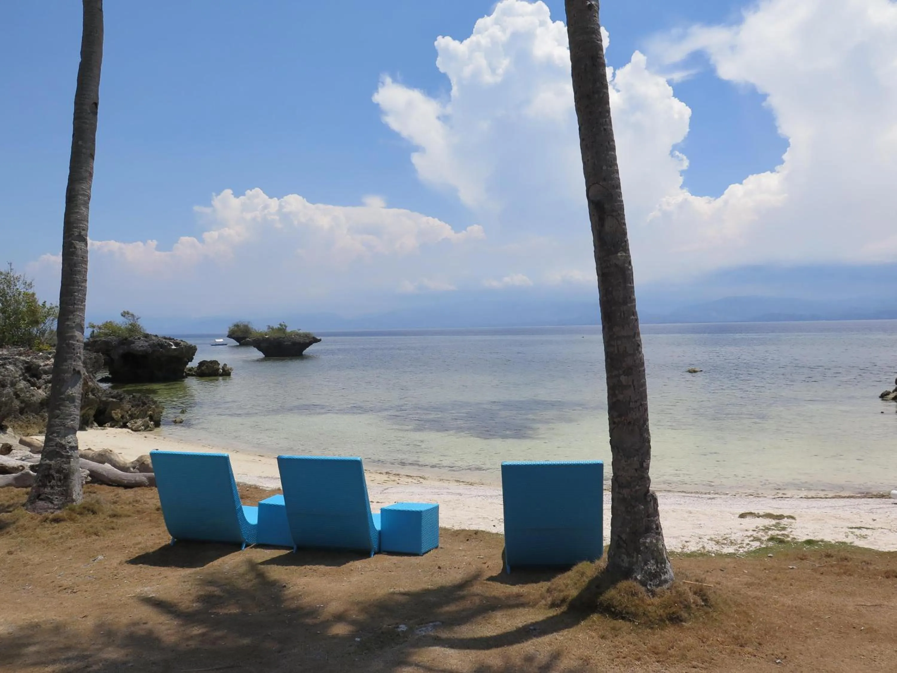 Snorkeling in The Wild Orchid Resort - Moalboal