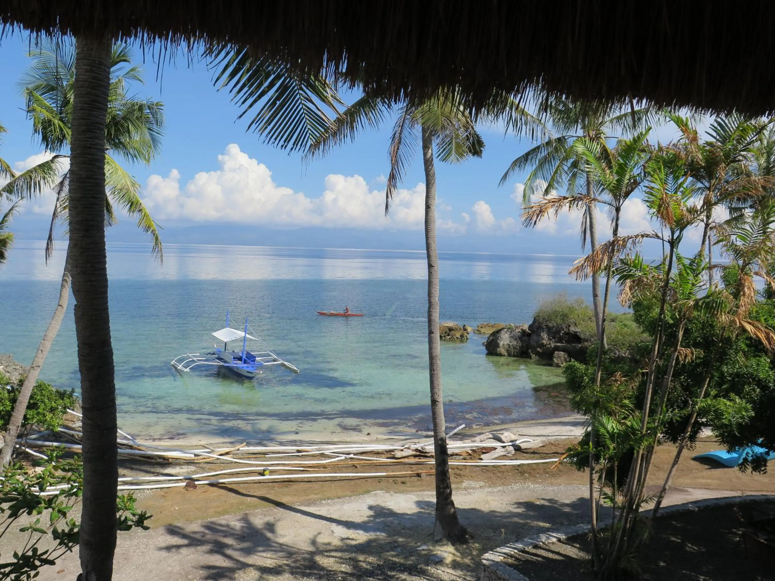 View (from property/room) in The Wild Orchid Resort - Moalboal