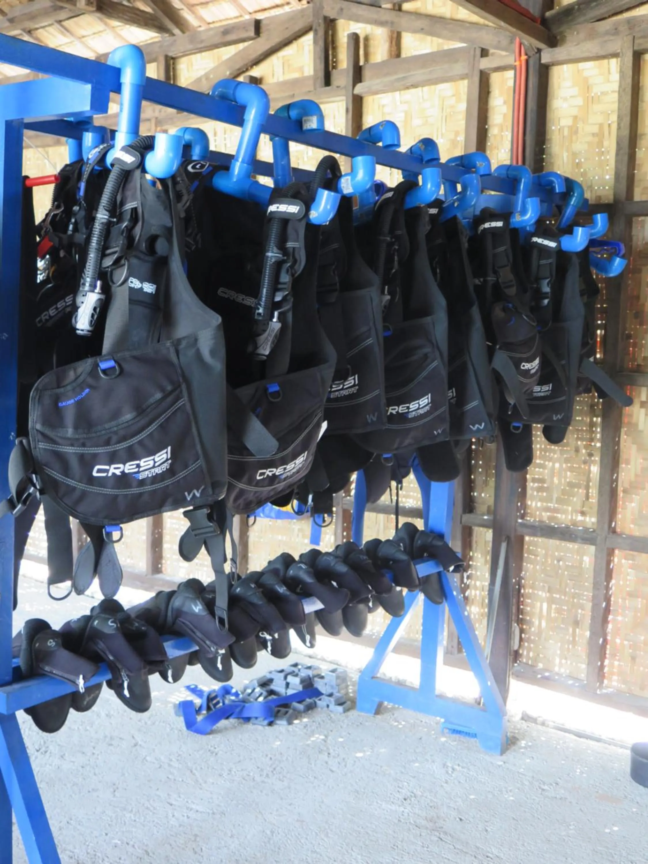 Diving in The Wild Orchid Resort - Moalboal