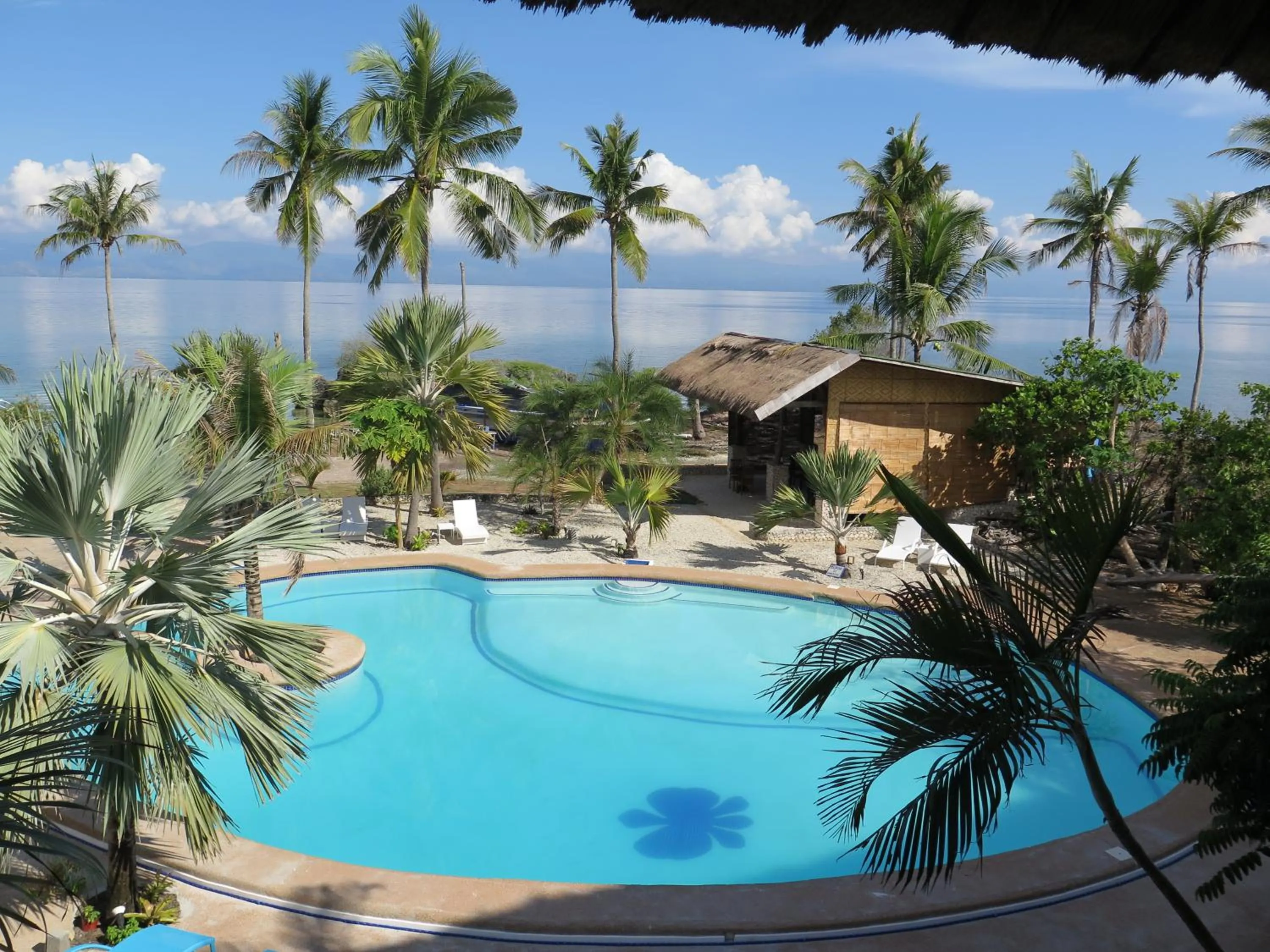 View (from property/room) in The Wild Orchid Resort - Moalboal