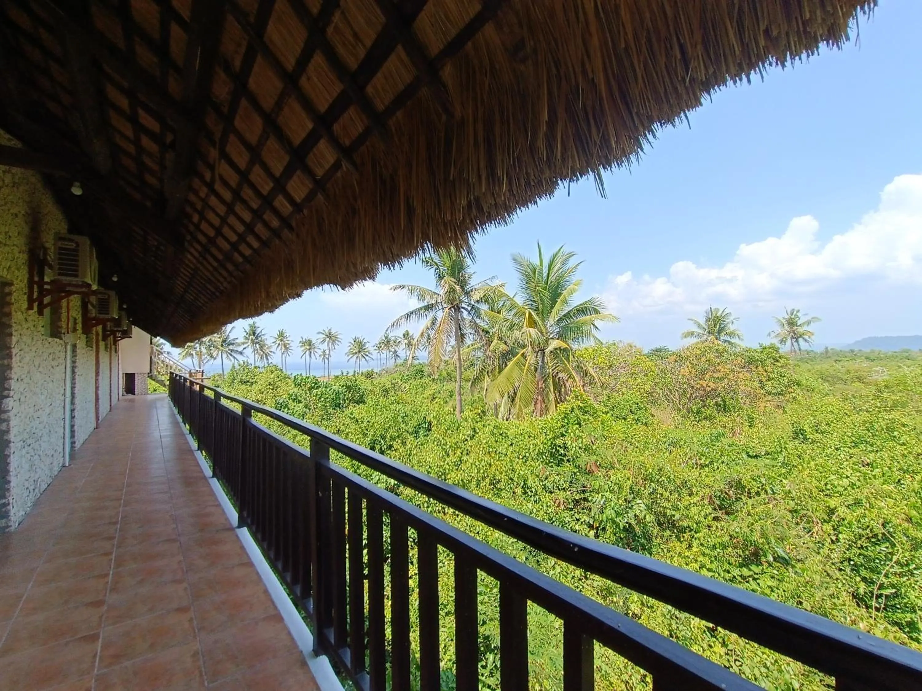 Natural landscape in The Wild Orchid Resort - Moalboal