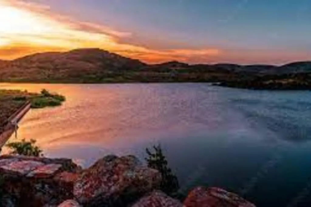 Golden Sunflower's Apt C