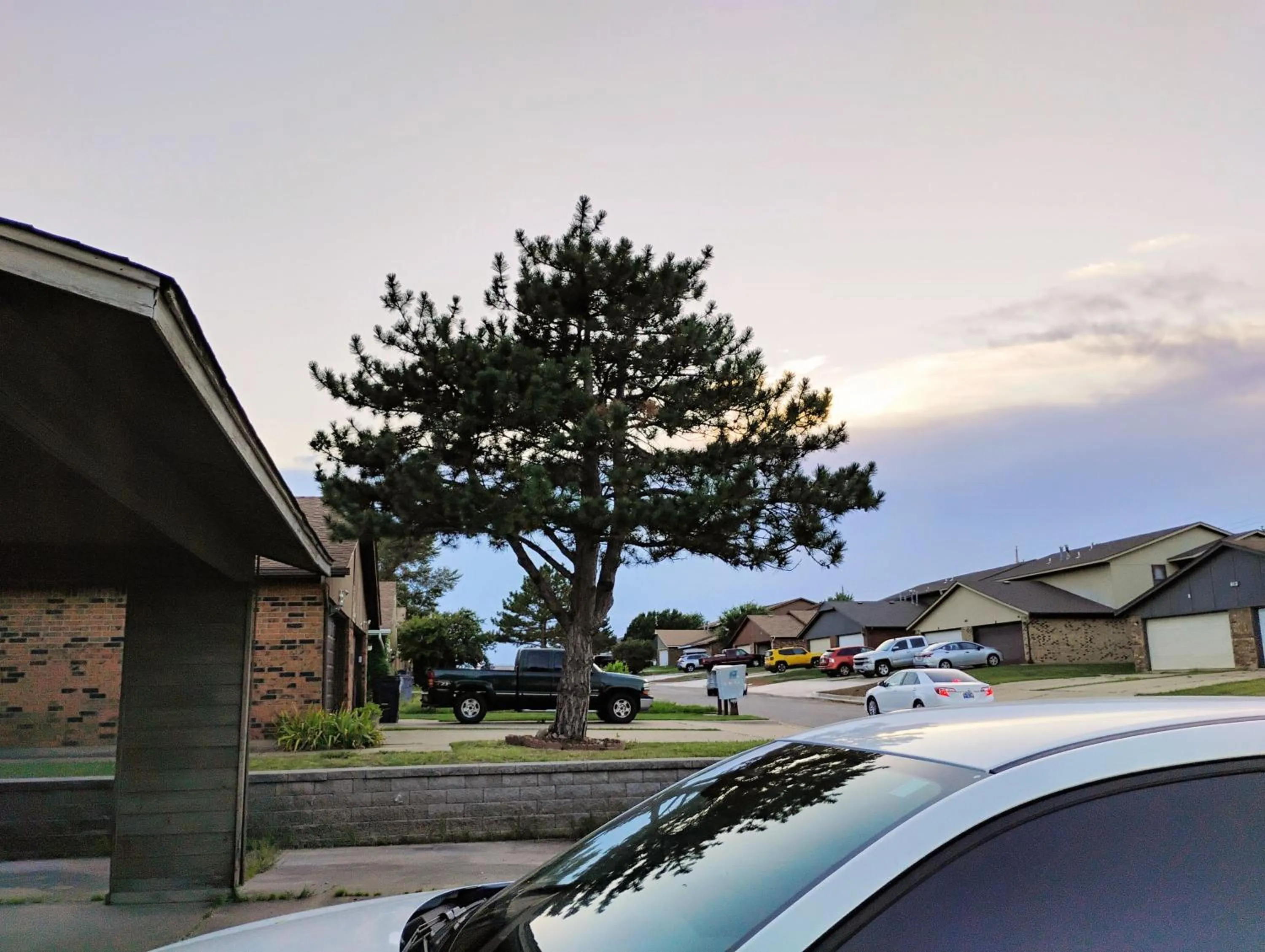 Golden Sunflower's Apt C