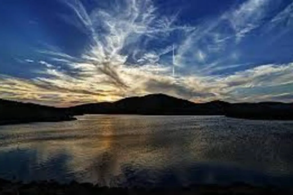 Golden Sunflower's Apt C