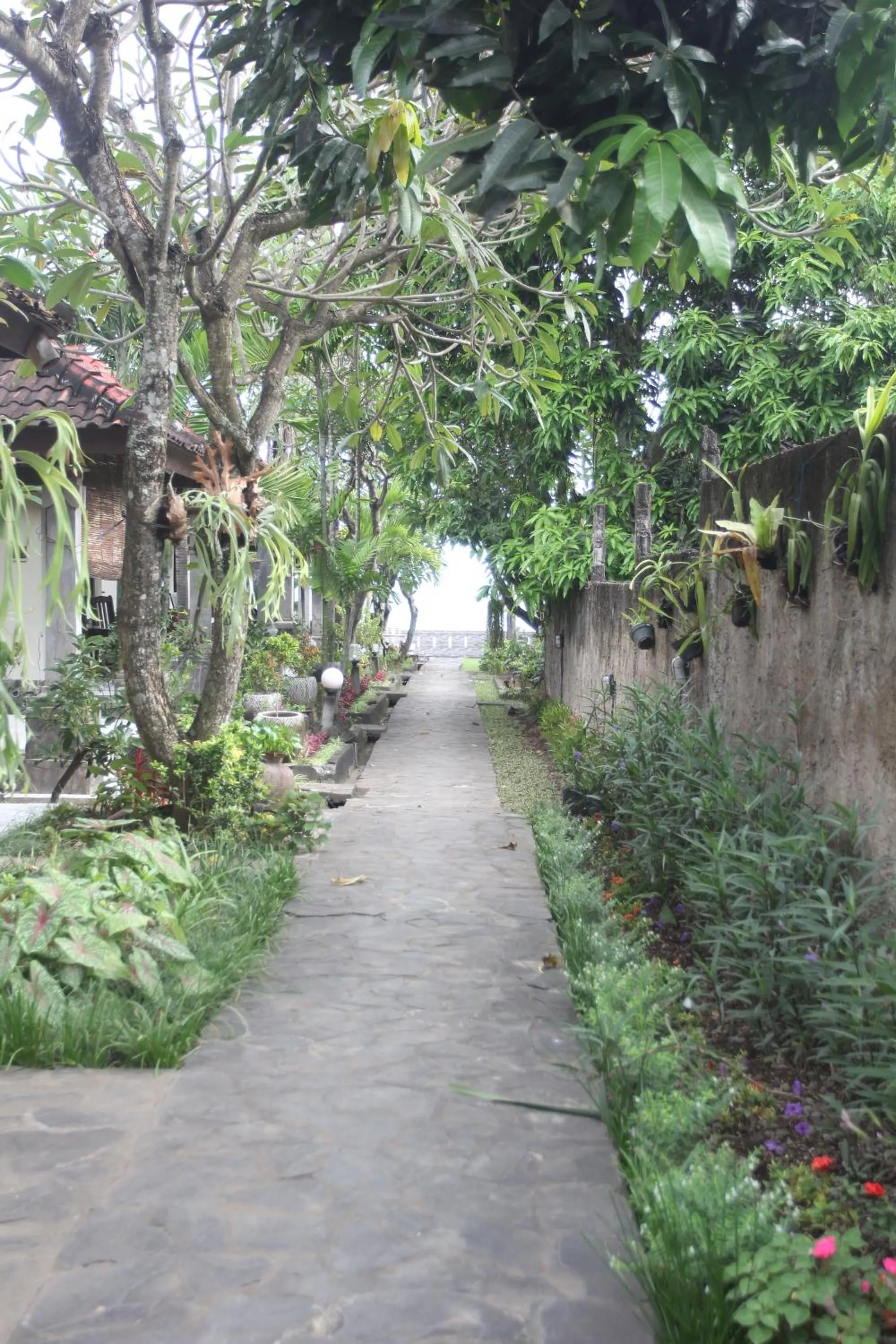Garden in Temple Cafe & Seaside Cottages