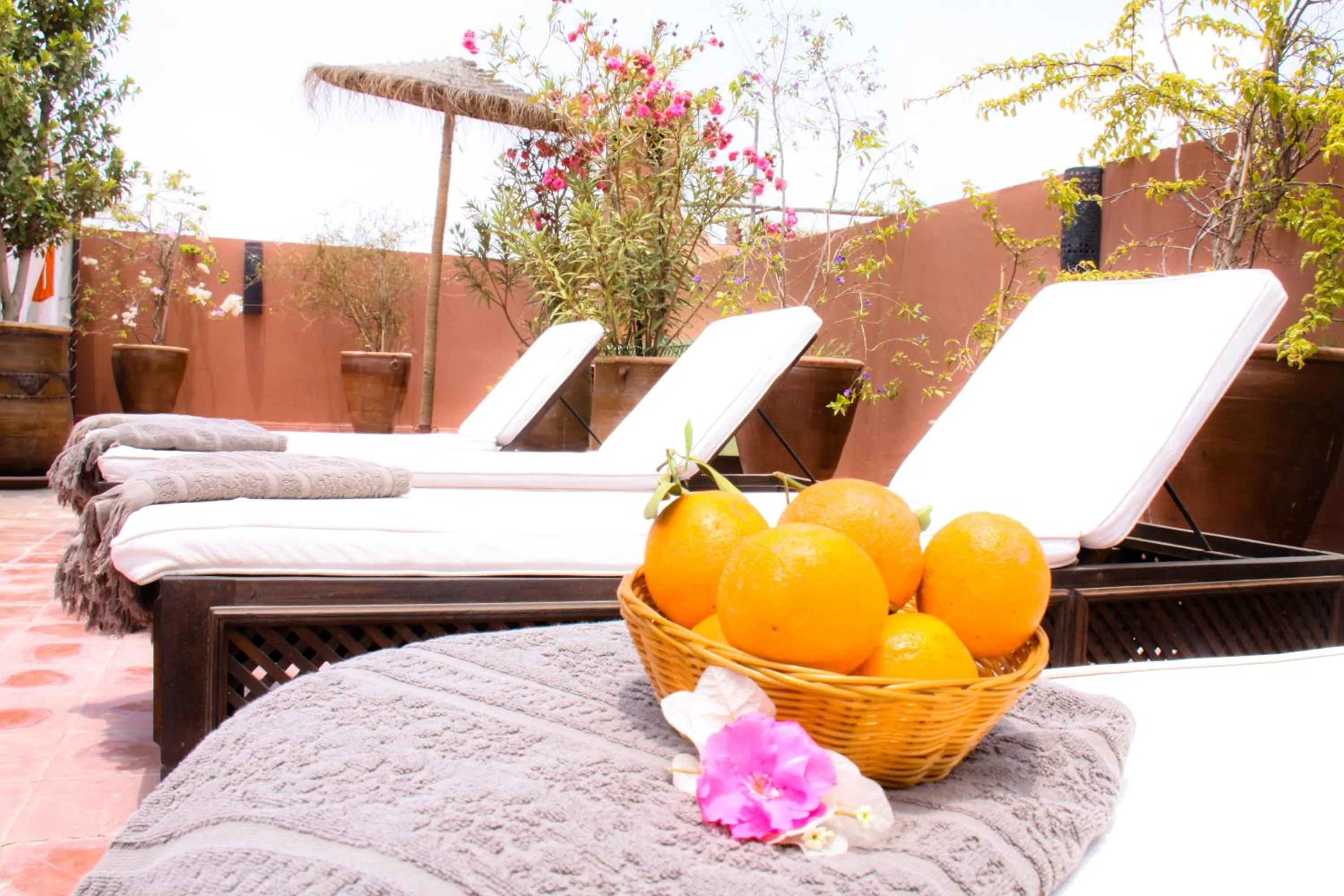 Solarium in Riad Mariana