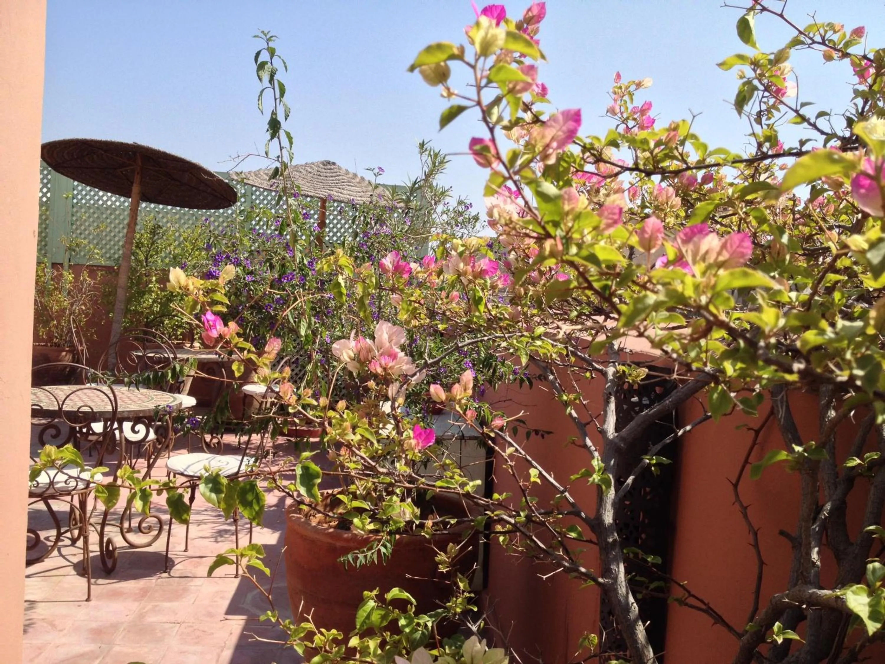 Patio in Riad Mariana