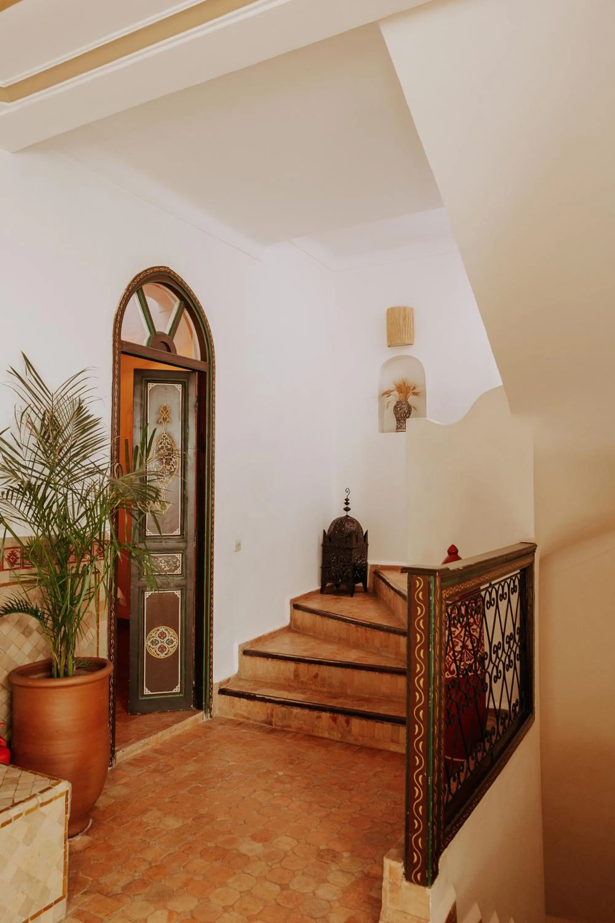 Area and facilities in Riad Bamaga