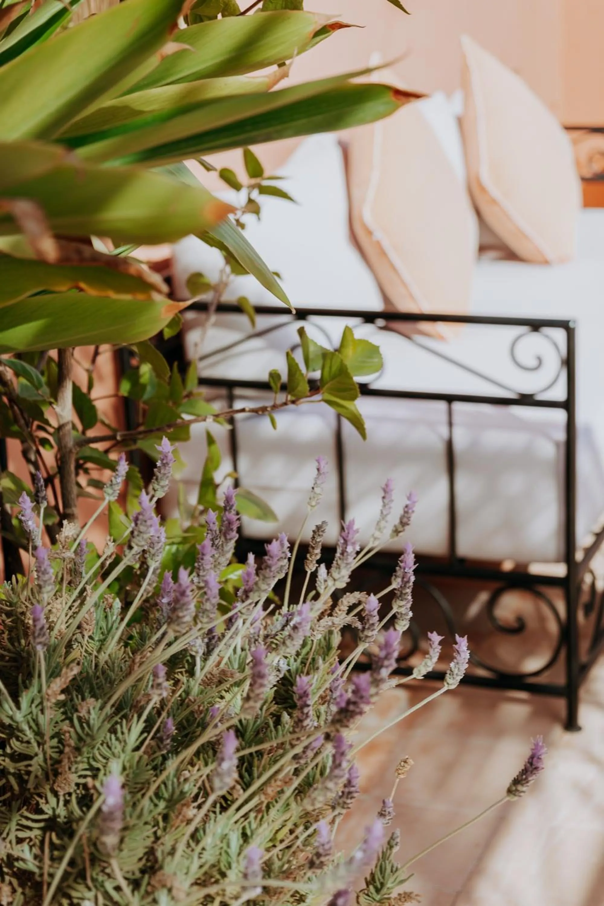 Patio, Bed in Riad Bamaga