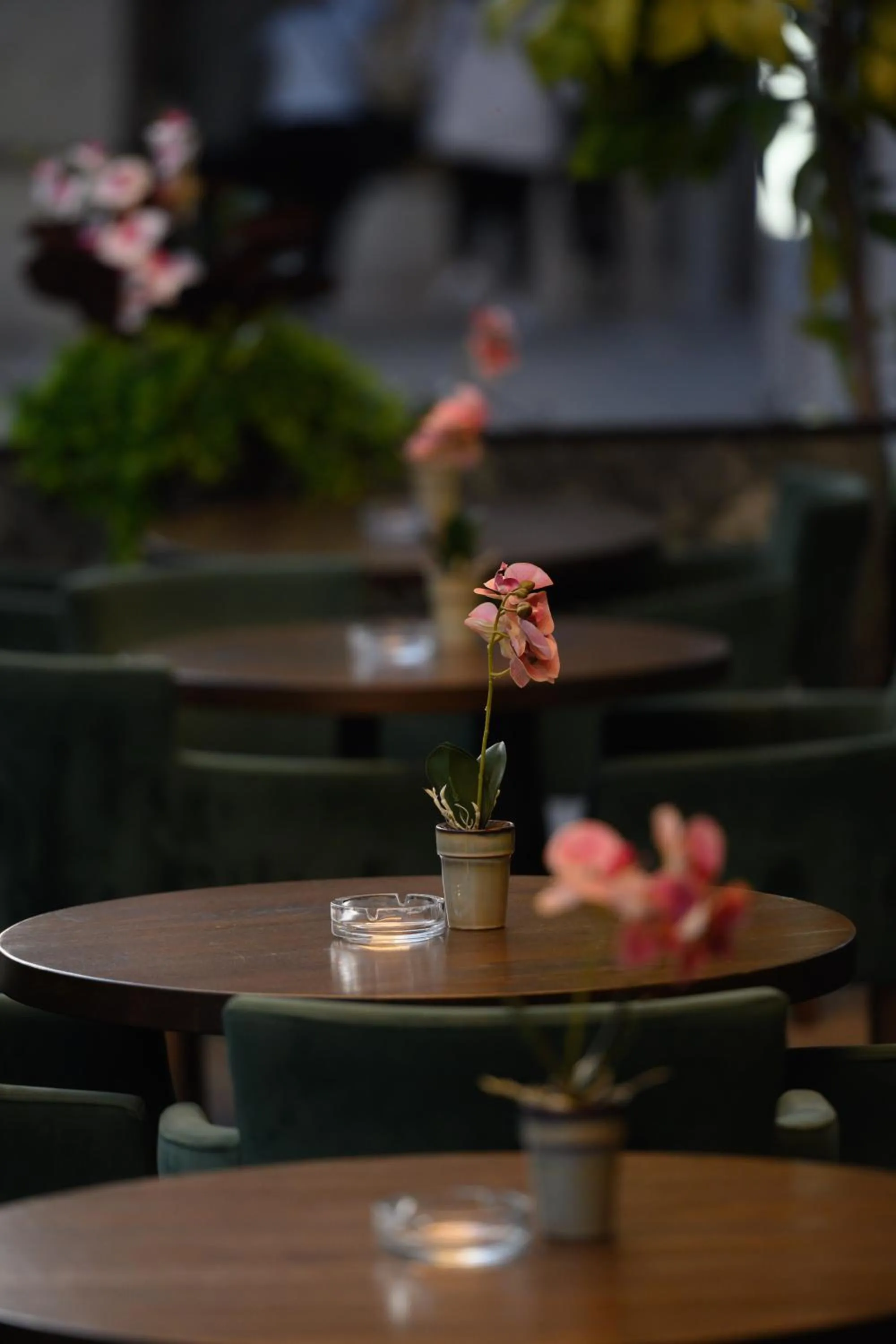 Restaurant/places to eat in Hotel Macedonia Square