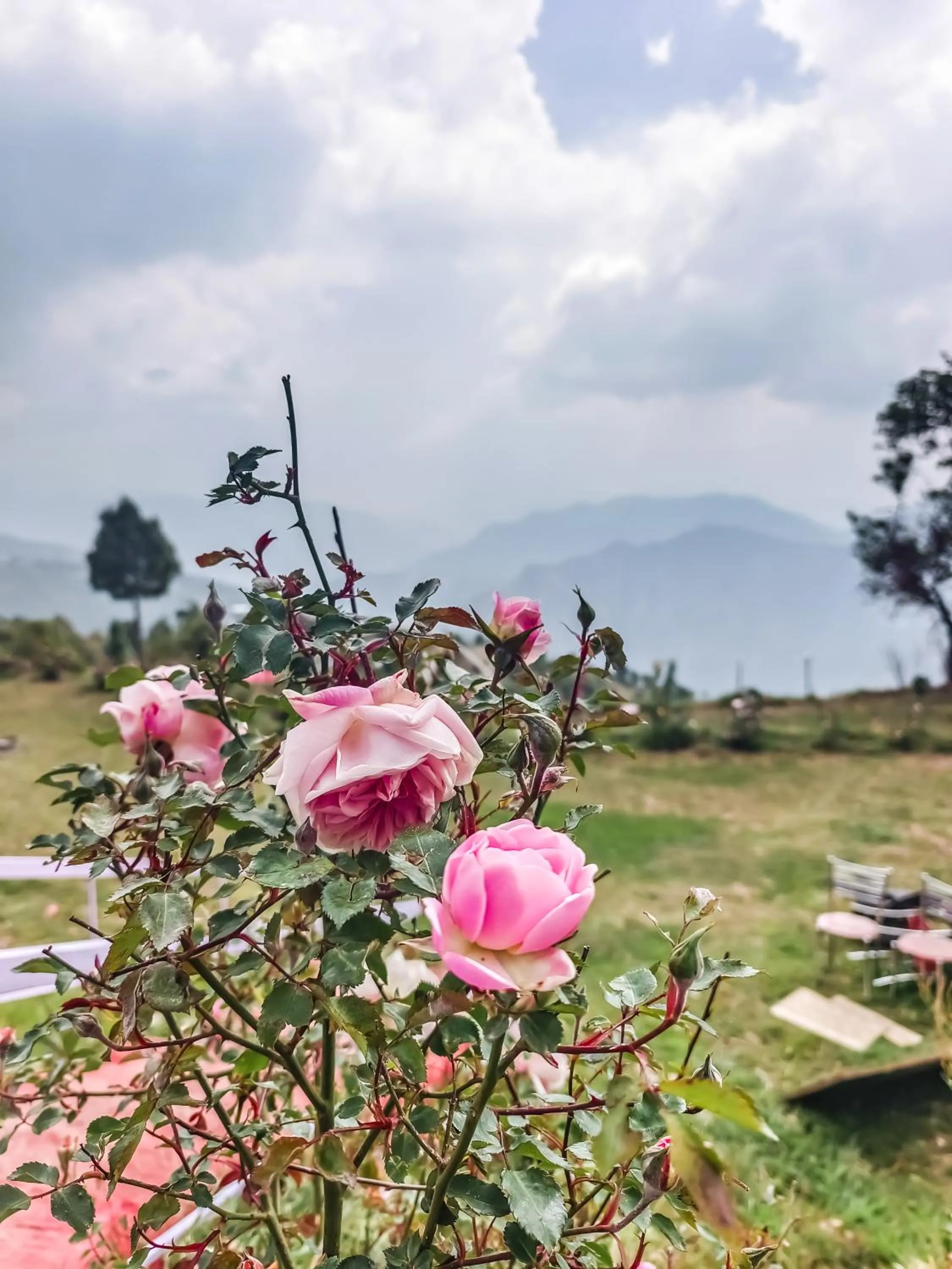 Garden in Haut Monde King's Paradise Resort