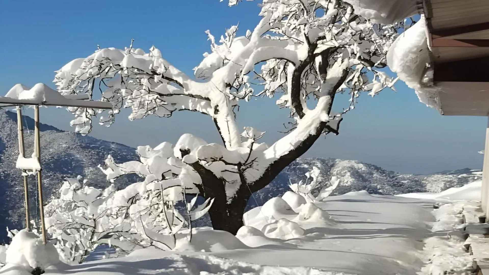 Winter in Haut Monde King's Paradise Resort