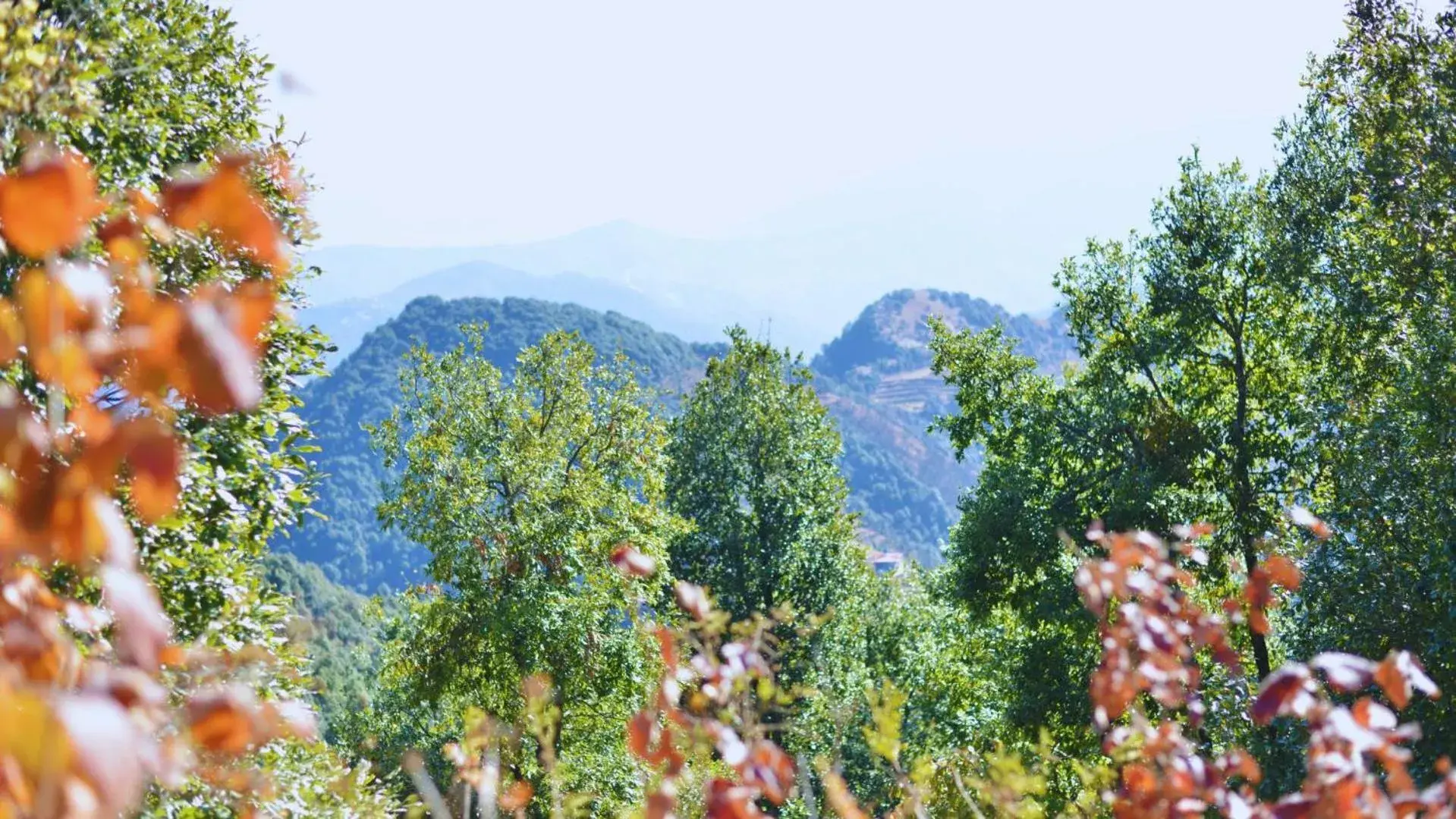 Mountain view in Haut Monde King's Paradise Resort Mountain view in Haut Monde King's Paradise Resort