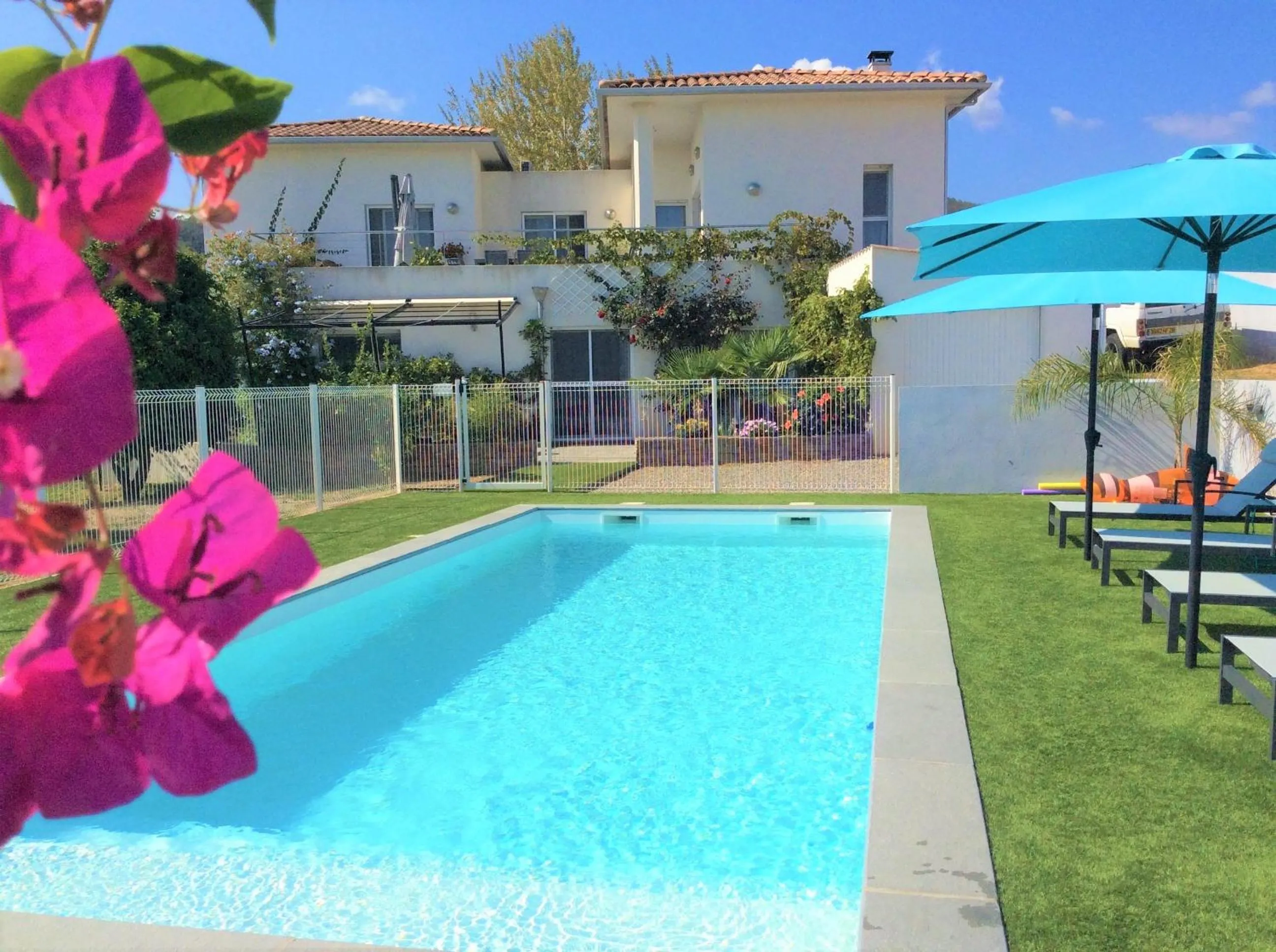 Les bougainvilliers