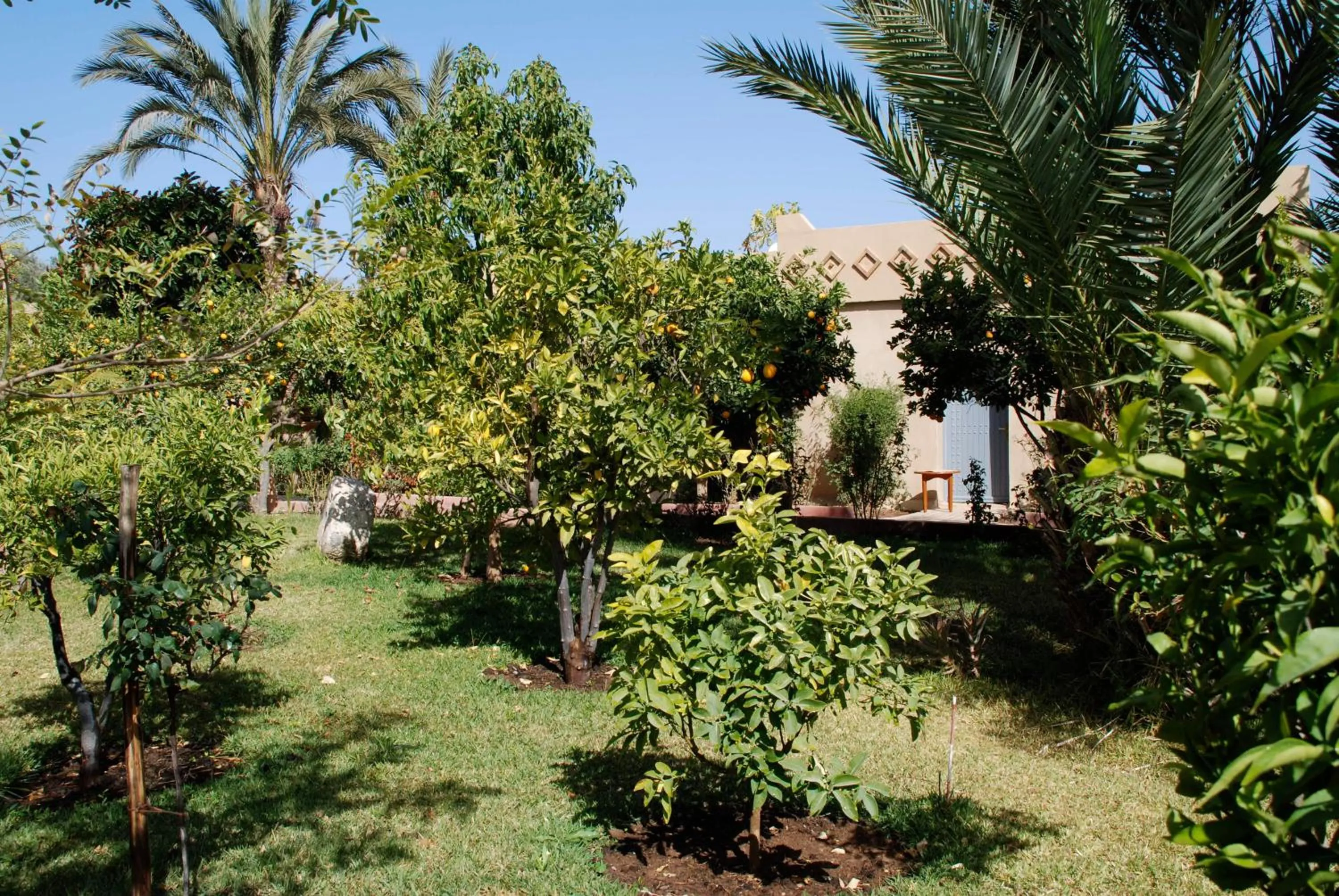 Garden in Hotel Dar Zitoune Taroudant