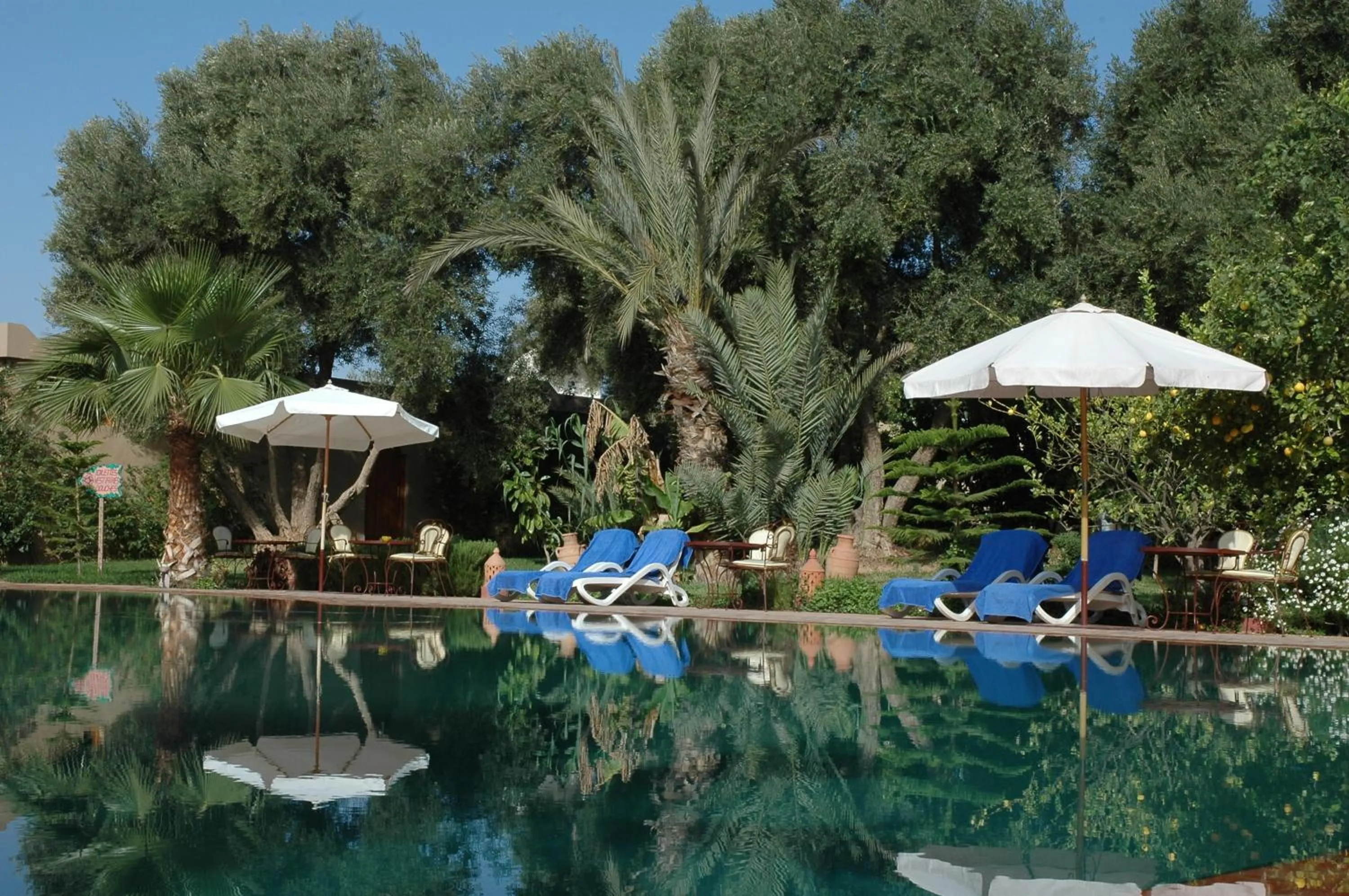 Swimming pool in Hotel Dar Zitoune Taroudant