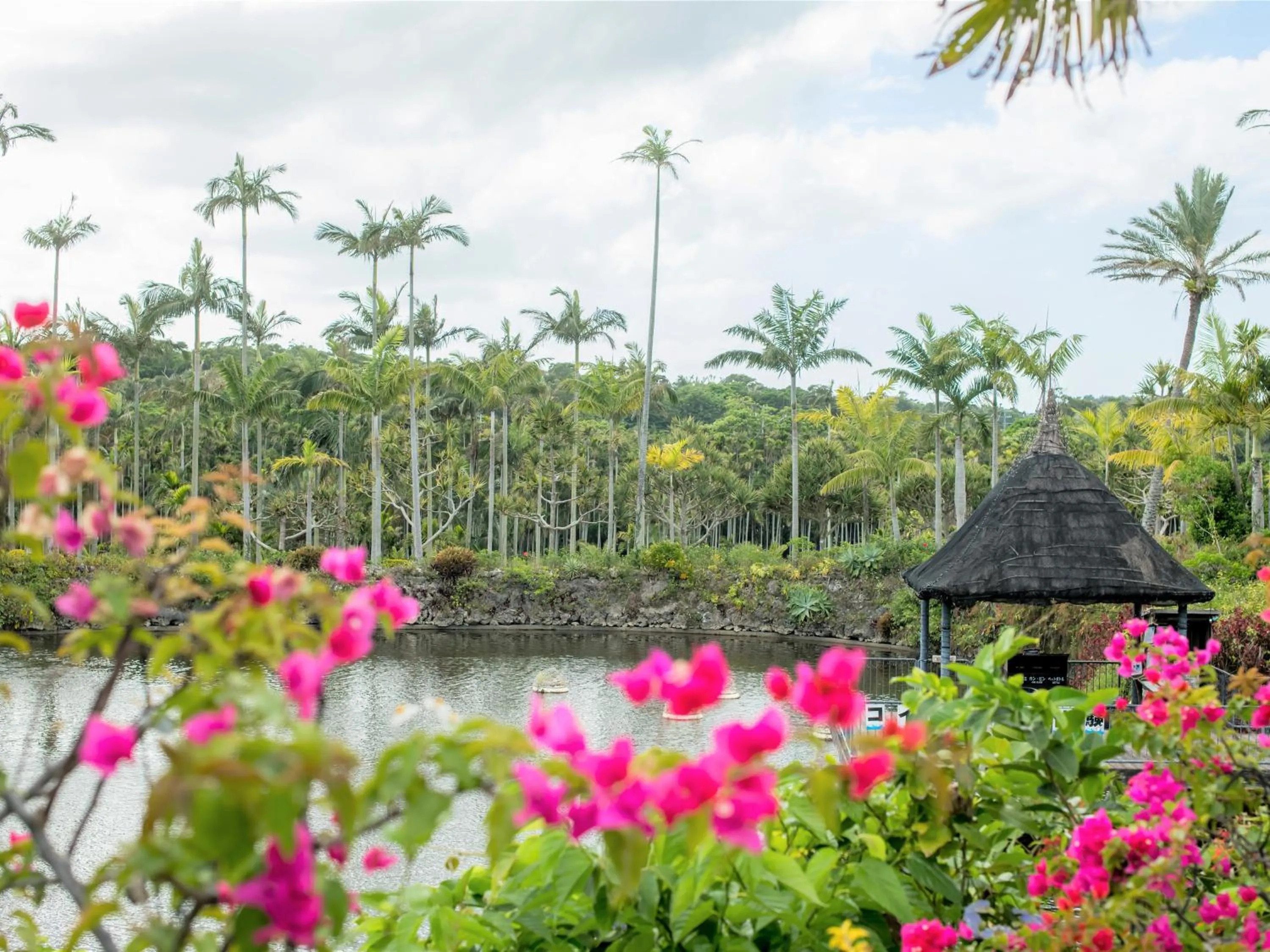 Nearby landmark in REF Okinawa Arena by VESSEL HOTELS