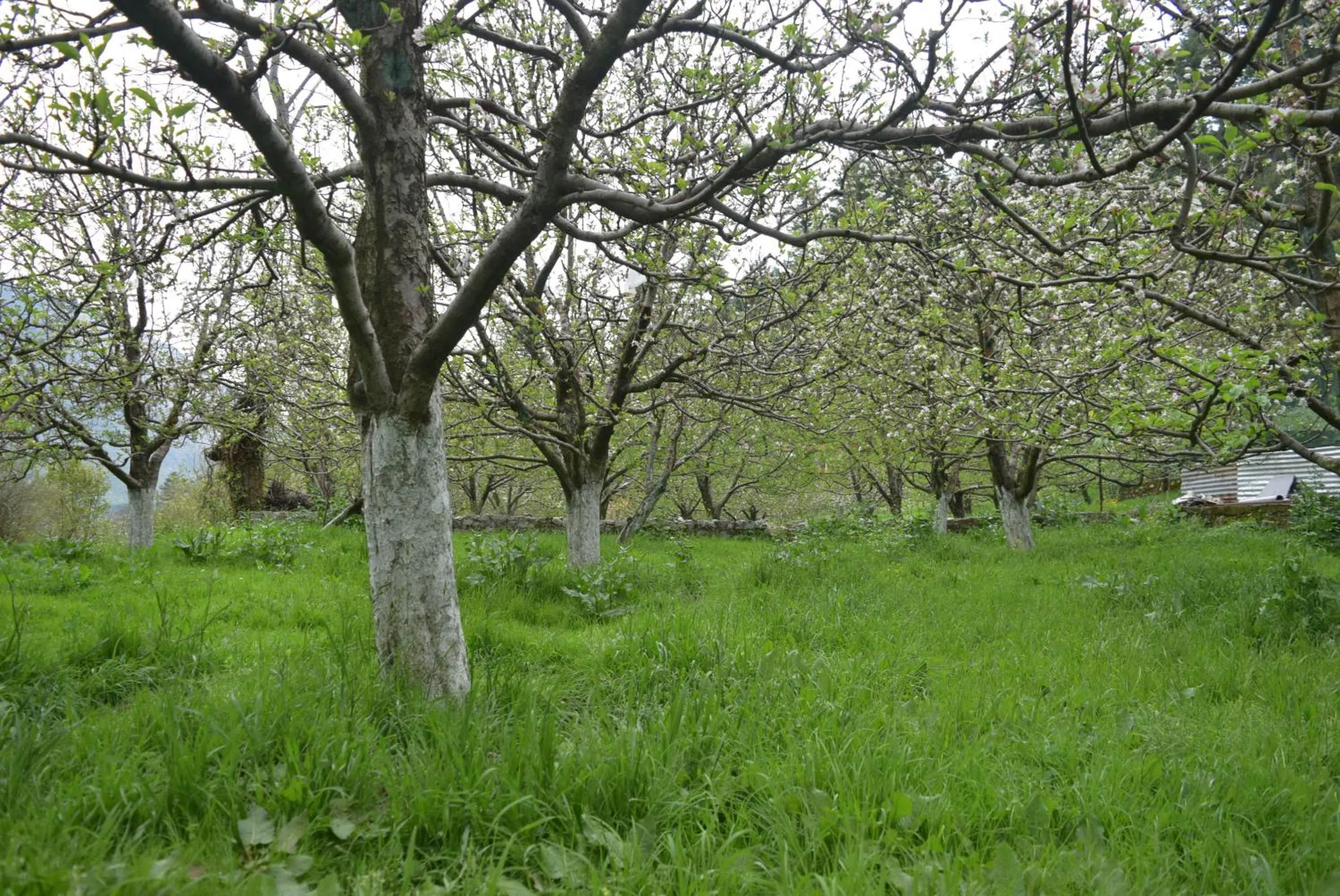 Garden in Shepherd Inn the Hill