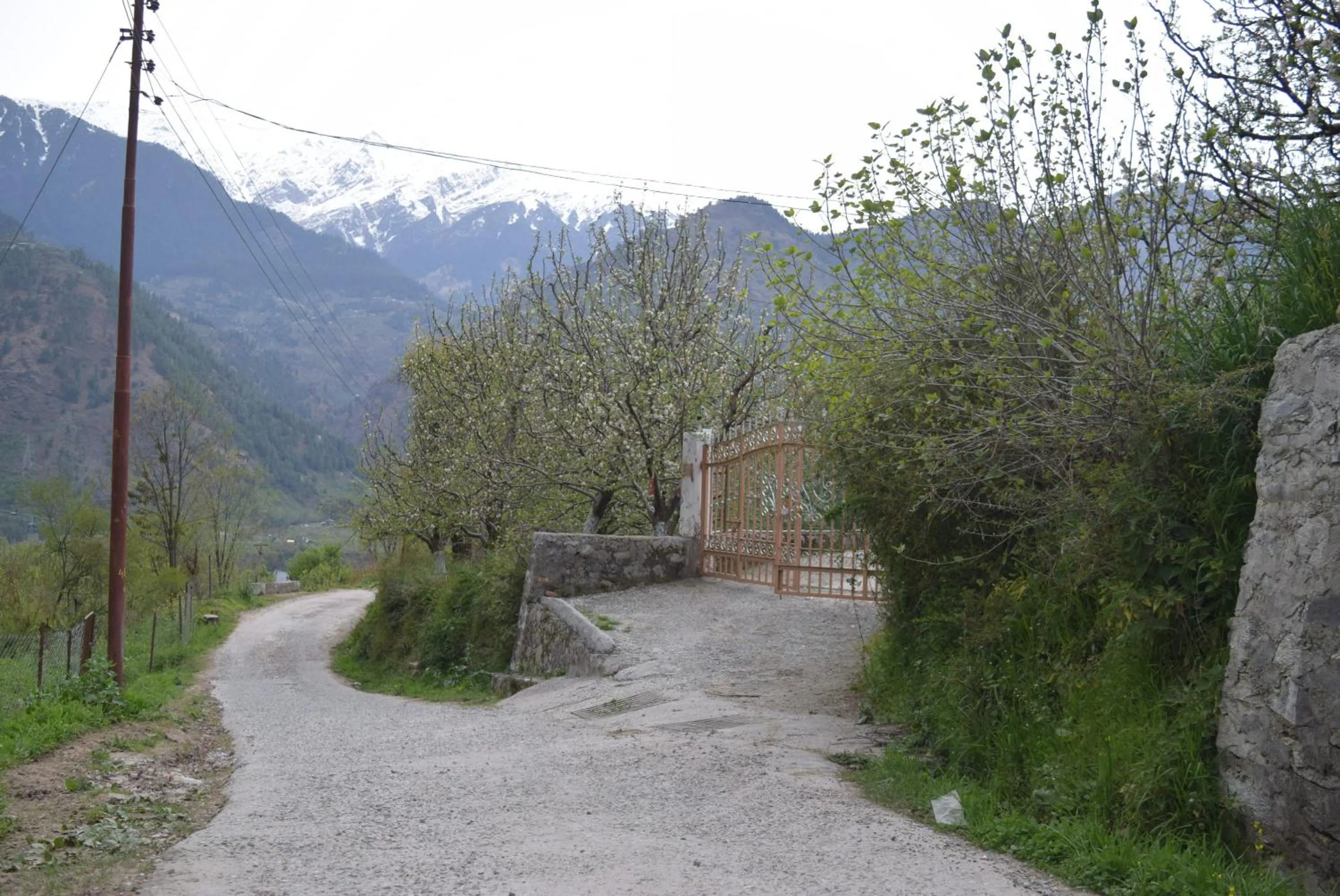 Mountain view in Shepherd Inn the Hill