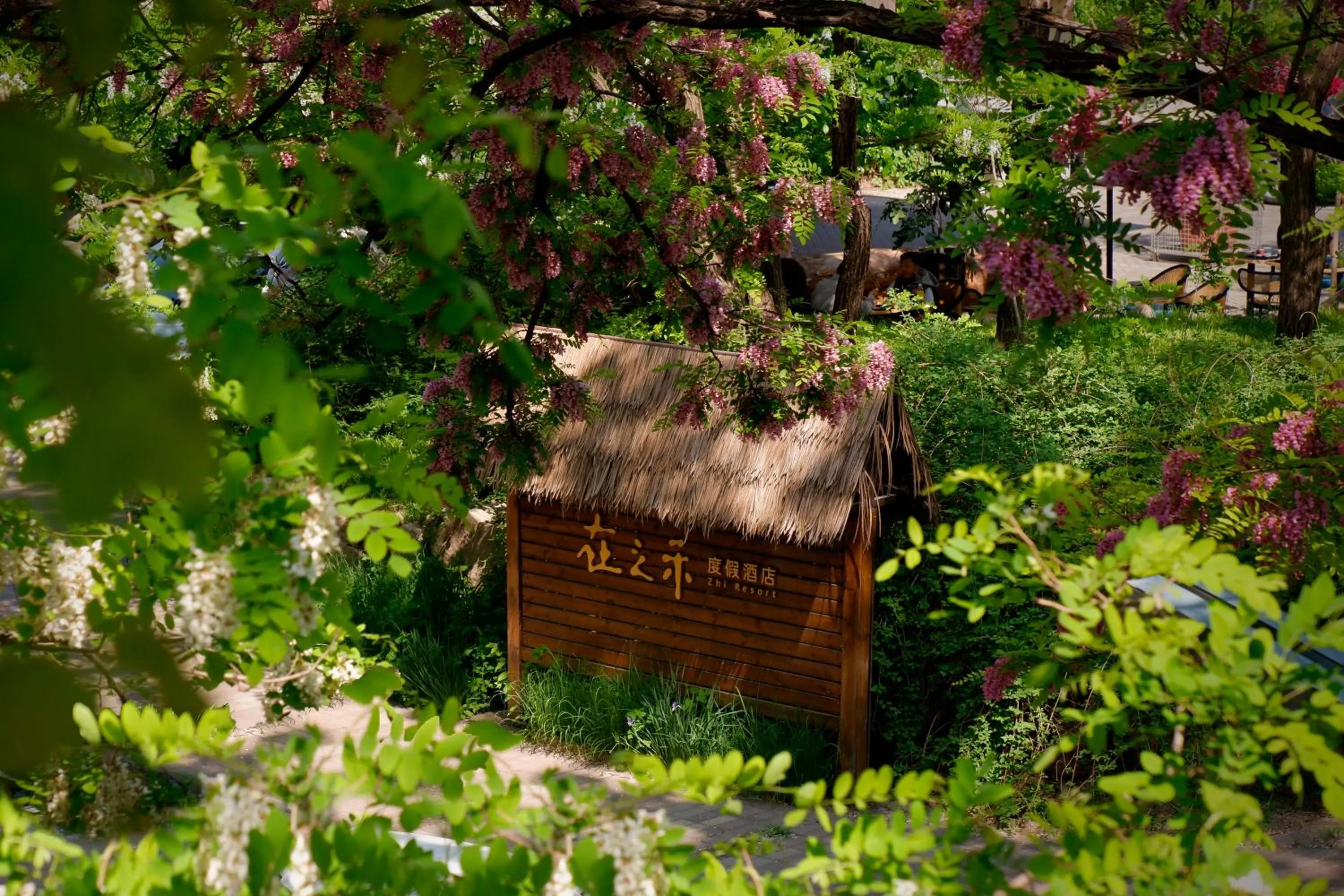 Property building in Zhi Resort Beijing&Peafowl Garden&Breakfast with Deer&Private Hot Spring&50 Meter Swimming Pool&Free Coffee&Close to Olympic Forest Park