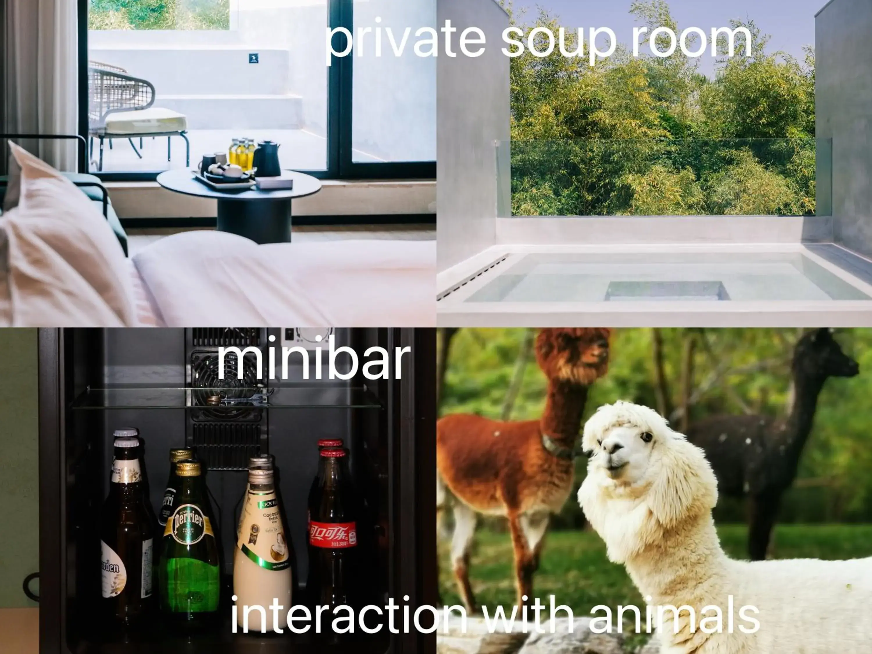 Courtyard Room with Hot Spring in Zhi Resort Beijing&Peafowl Garden&Breakfast with Deer&Private Hot Spring&50 Meter Swimming Pool&Free Coffee&Close to Olympic Forest Park Courtyard Room with Hot Spring in Zhi Resort Beijing&Peafowl Garden&Breakfast with Deer&Private Hot Spring&50 Meter Swimming Pool&Free Coffee&Close to Olympic Forest Park