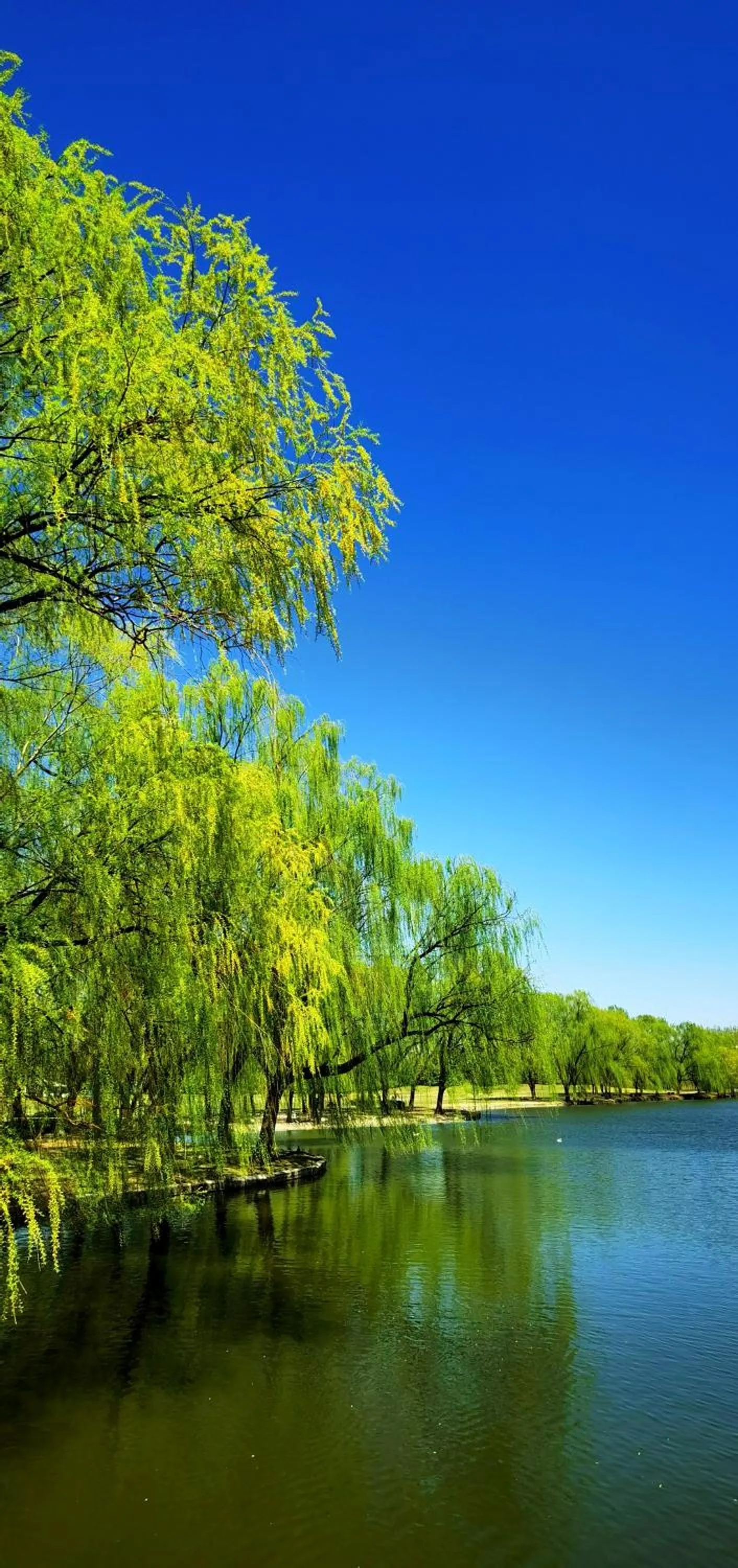 Spring in Zhi Resort Beijing&Peafowl Garden&Breakfast with Deer&Private Hot Spring&50 Meter Swimming Pool&Free Coffee&Close to Olympic Forest Park