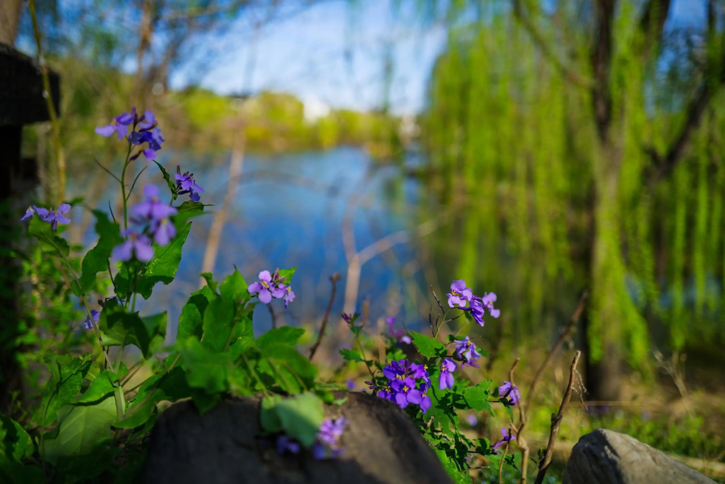 Spring in Zhi Resort Beijing&Peafowl Garden&Breakfast with Deer&Private Hot Spring&50 Meter Swimming Pool&Free Coffee&Close to Olympic Forest Park