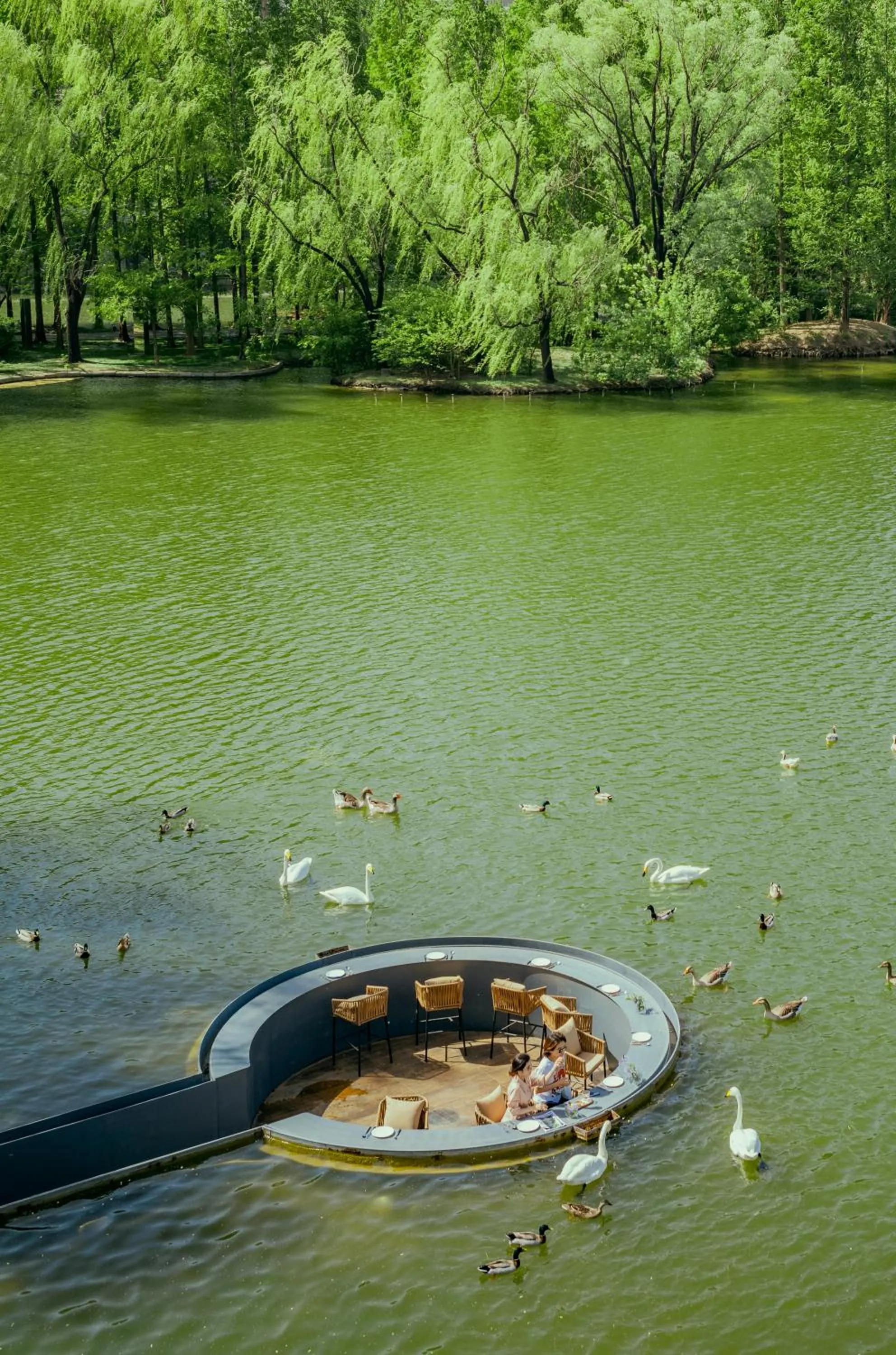 Spring in Zhi Resort Beijing&Peafowl Garden&Breakfast with Deer&Private Hot Spring&50 Meter Swimming Pool&Free Coffee&Close to Olympic Forest Park