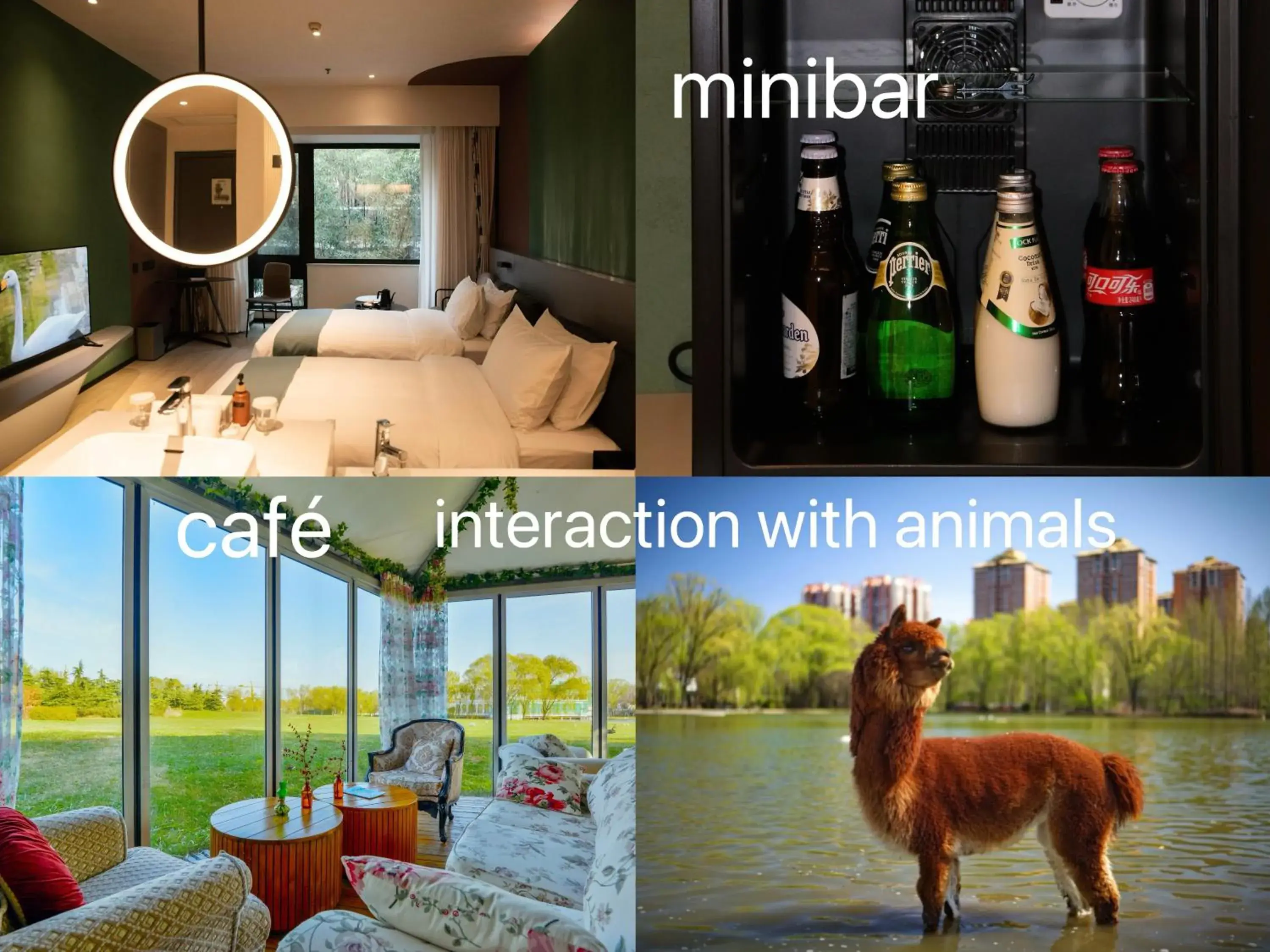 Twin Room with Garden View in Zhi Resort Beijing&Peafowl Garden&Breakfast with Deer&Private Hot Spring&50 Meter Swimming Pool&Free Coffee&Close to Olympic Forest Park Twin Room with Garden View in Zhi Resort Beijing&Peafowl Garden&Breakfast with Deer&Private Hot Spring&50 Meter Swimming Pool&Free Coffee&Close to Olympic Forest Park