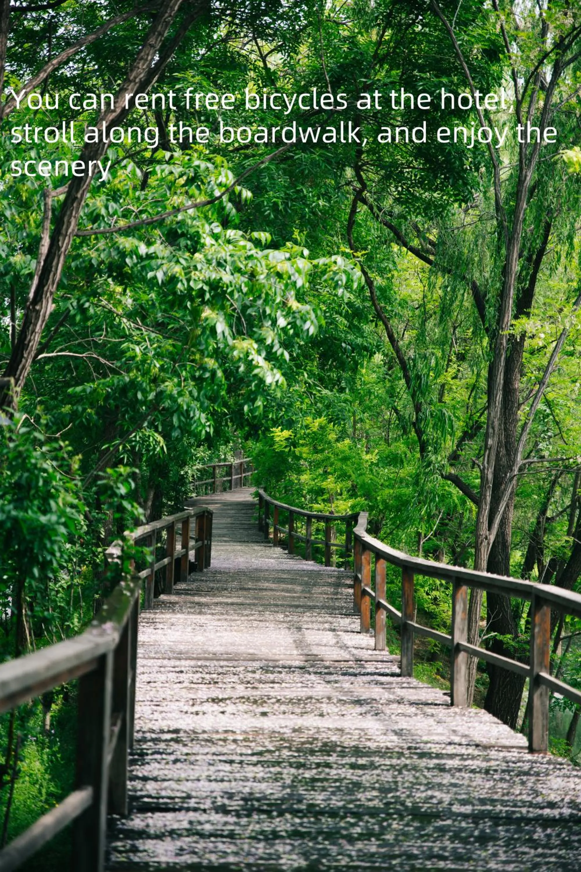 Spring in Zhi Resort Beijing&Peafowl Garden&Breakfast with Deer&Private Hot Spring&50 Meter Swimming Pool&Free Coffee&Close to Olympic Forest Park