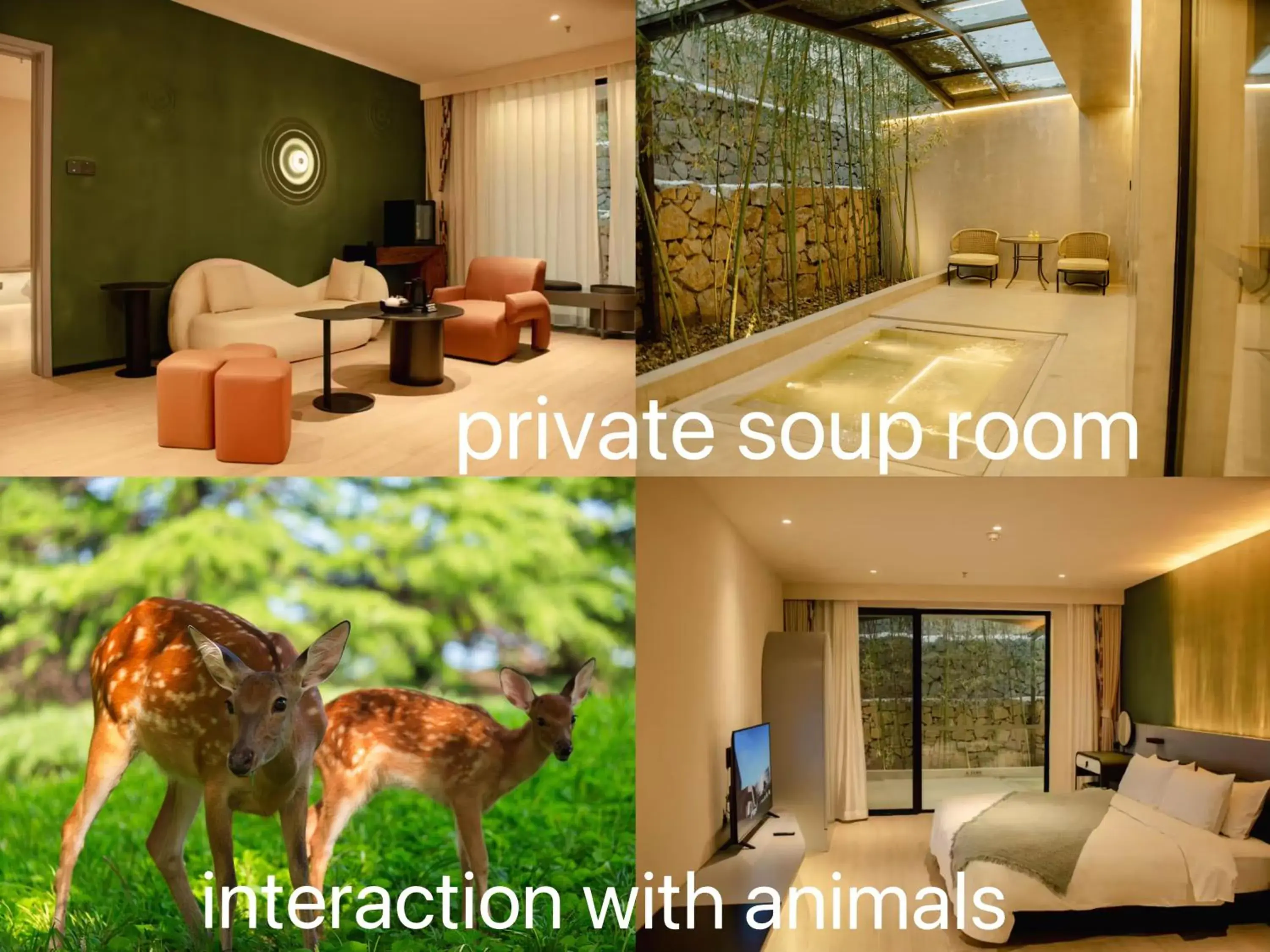 Junior Suite with Private Pool in Zhi Resort Beijing&Peafowl Garden&Breakfast with Deer&Private Hot Spring&50 Meter Swimming Pool&Free Coffee&Close to Olympic Forest Park Junior Suite with Private Pool in Zhi Resort Beijing&Peafowl Garden&Breakfast with Deer&Private Hot Spring&50 Meter Swimming Pool&Free Coffee&Close to Olympic Forest Park