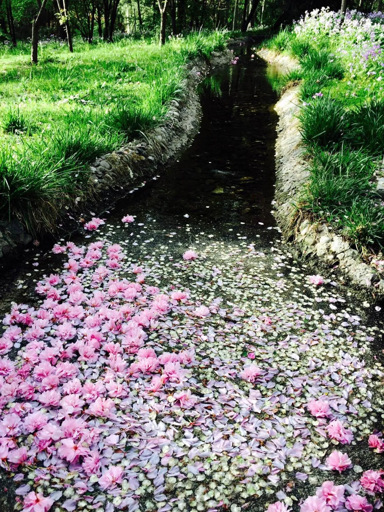 Spring in Zhi Resort Beijing&Peafowl Garden&Breakfast with Deer&Private Hot Spring&50 Meter Swimming Pool&Free Coffee&Close to Olympic Forest Park