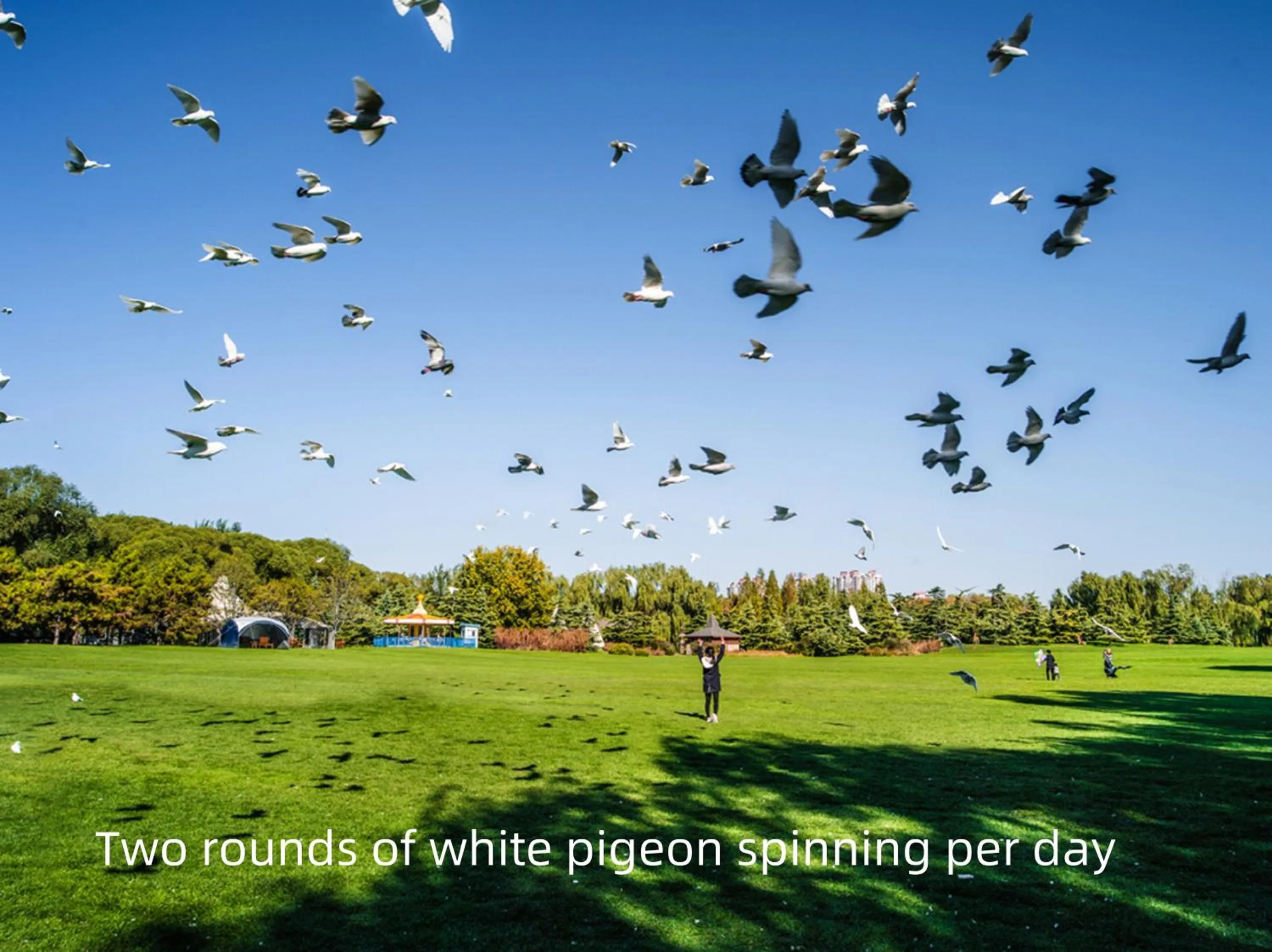 Day in Zhi Resort Beijing&Peafowl Garden&Breakfast with Deer&Private Hot Spring&50 Meter Swimming Pool&Free Coffee&Close to Olympic Forest Park