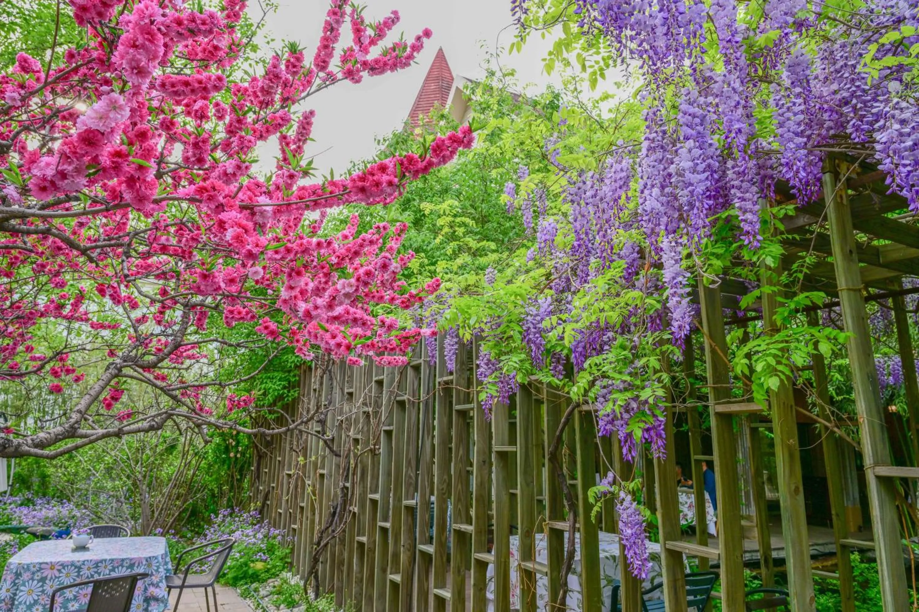 Garden in Zhi Resort Beijing&Peafowl Garden&Breakfast with Deer&Private Hot Spring&50 Meter Swimming Pool&Free Coffee&Close to Olympic Forest Park