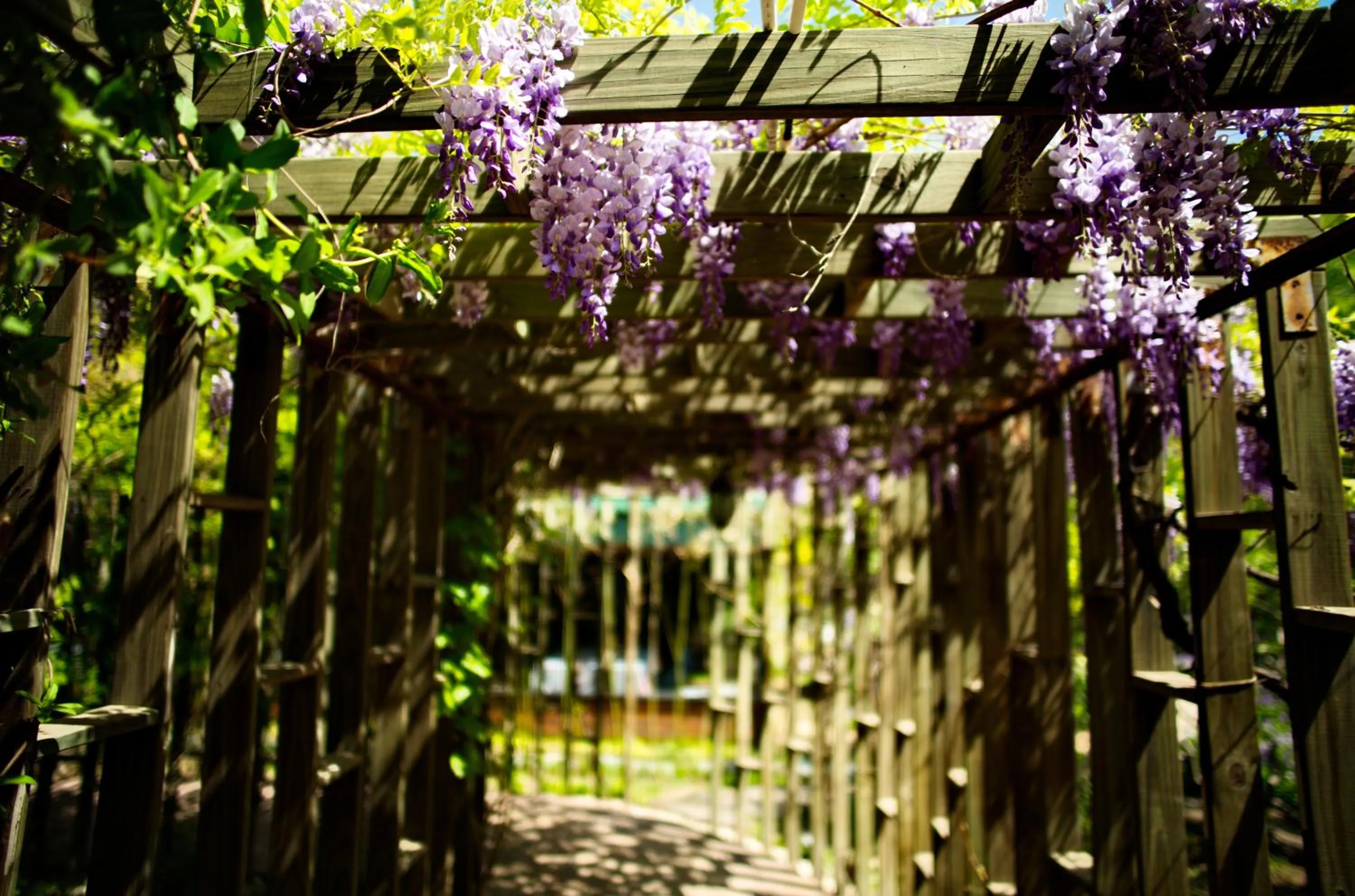 Spring in Zhi Resort Beijing&Peafowl Garden&Breakfast with Deer&Private Hot Spring&50 Meter Swimming Pool&Free Coffee&Close to Olympic Forest Park