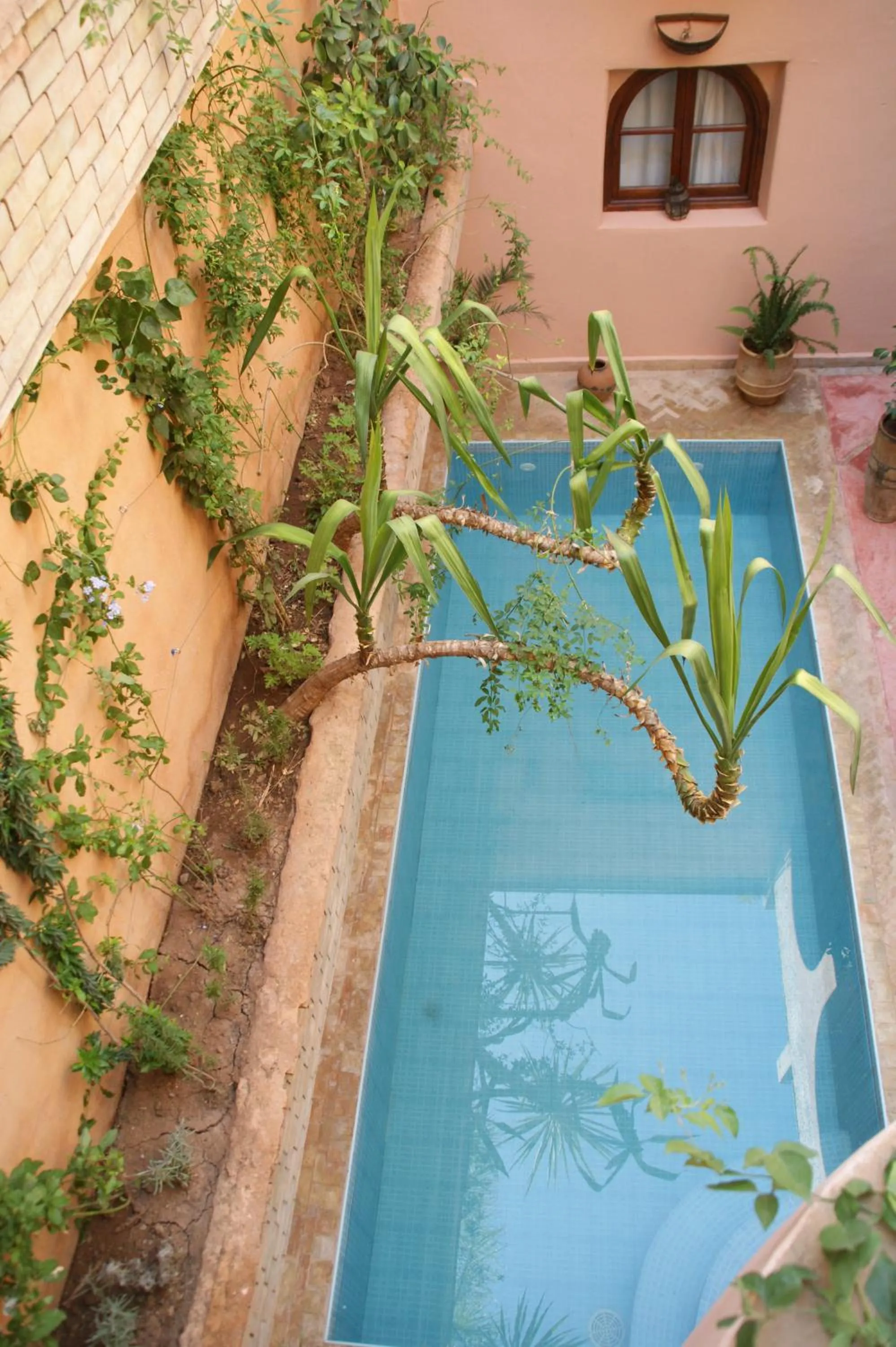 Other in Riad Azenzer