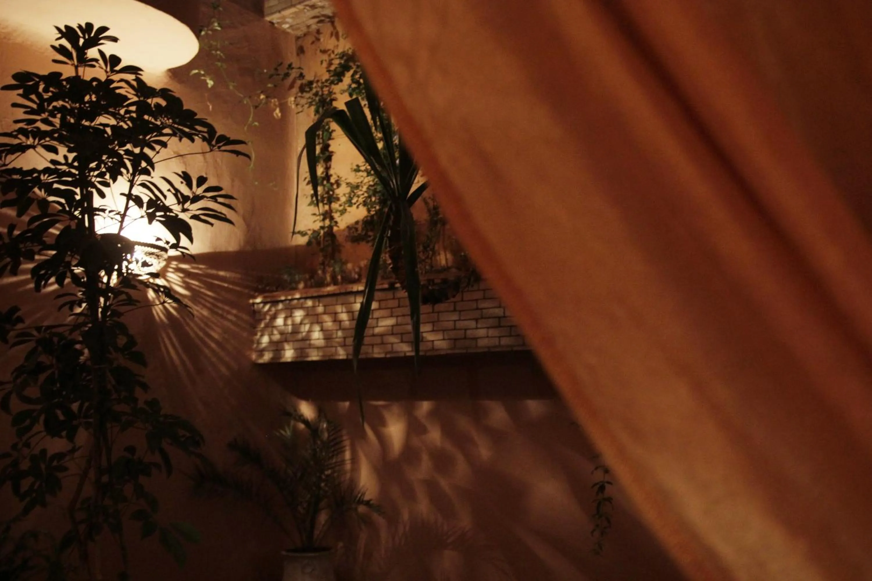 Garden in Riad Azenzer